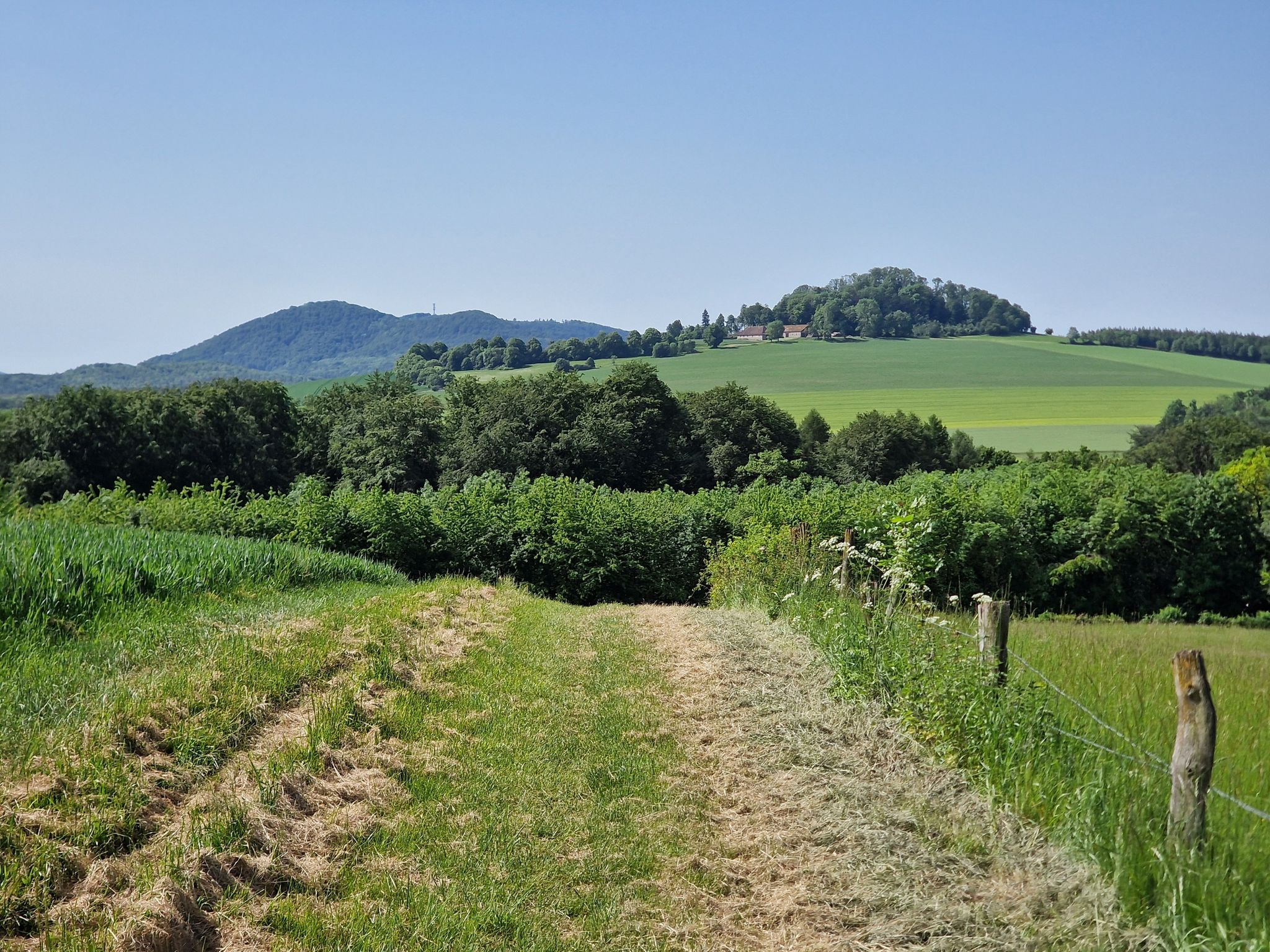 Ganz beschaulich
