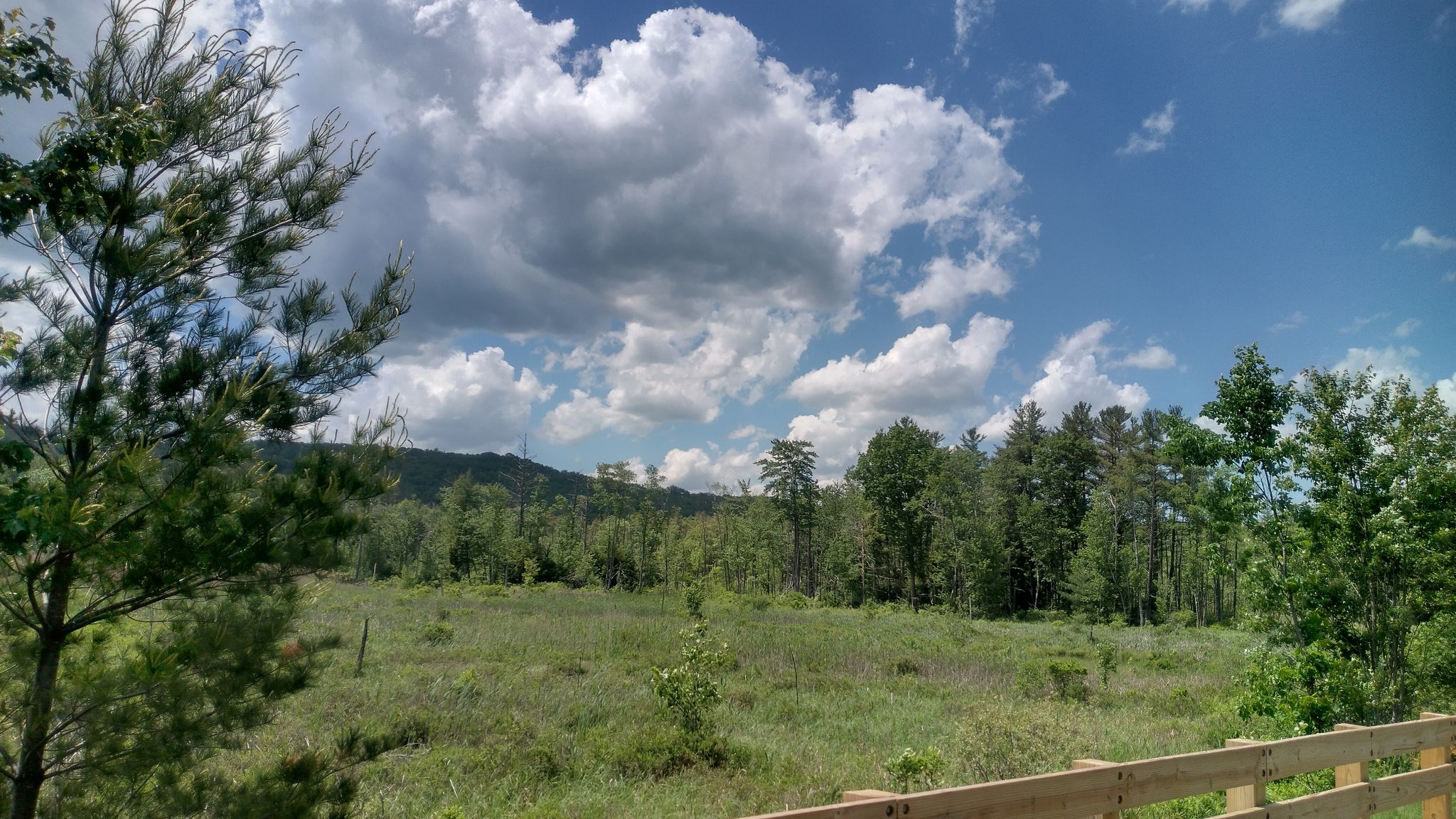 Expansive grassy field with distant trees and mountains under cloudy sky. - Mount Greylock – Trail start loop from Pittsfield