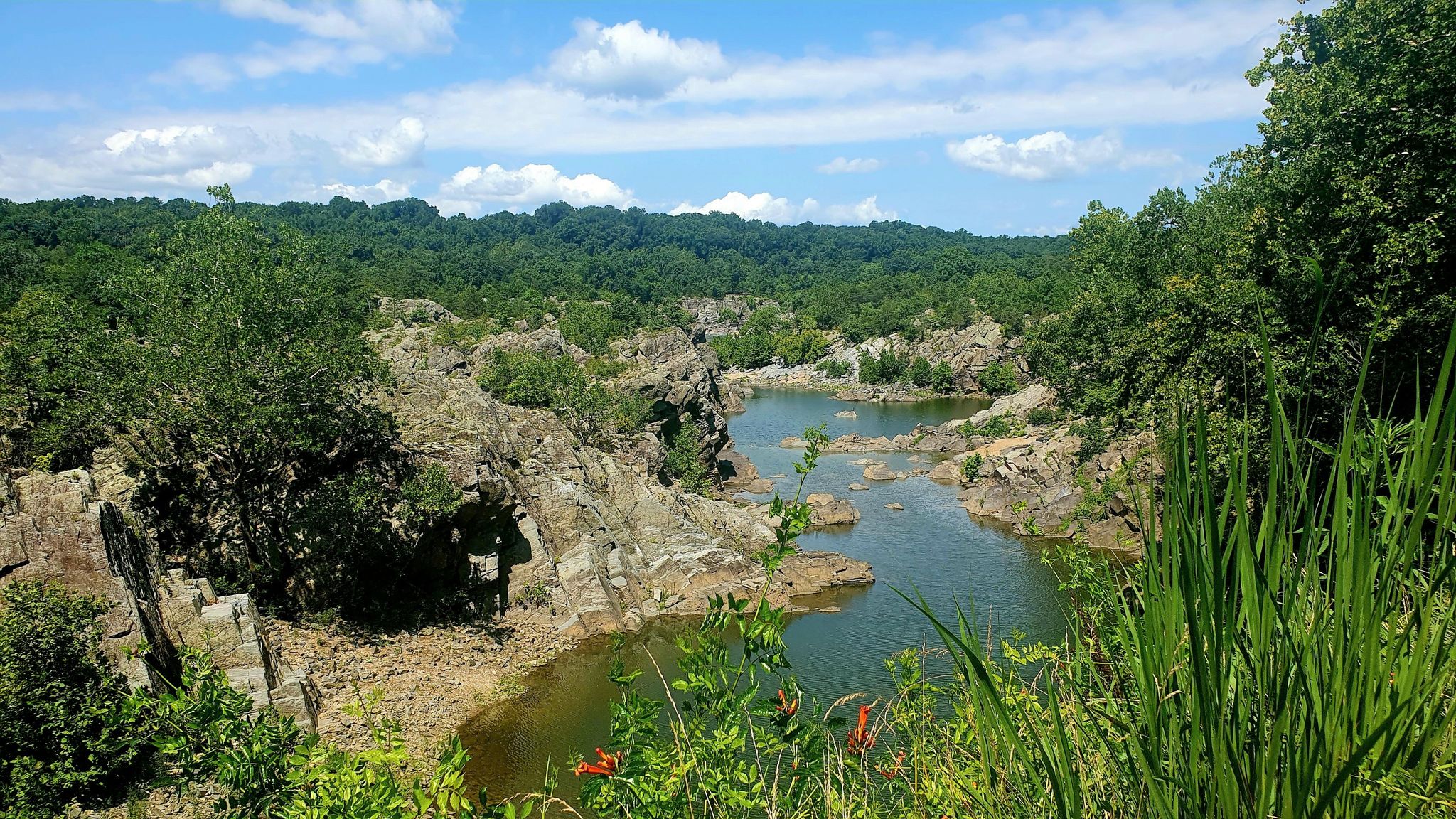 A river flows through a rocky, green landscape under a bright blue sky. - U.S. Capitol – Horseshoe Bend at Great Falls loop from Rockville