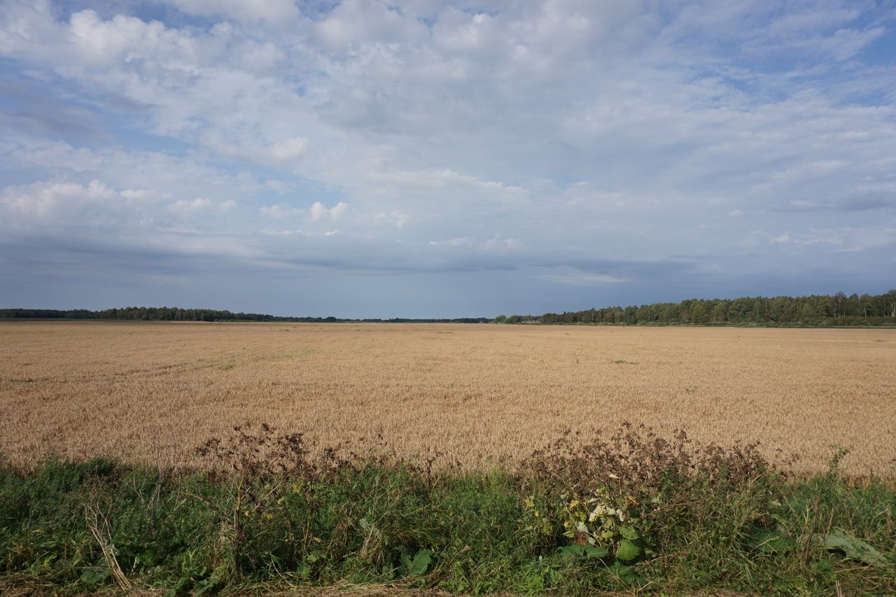 bei Kostivere - flache Hochebene im Hinterland
