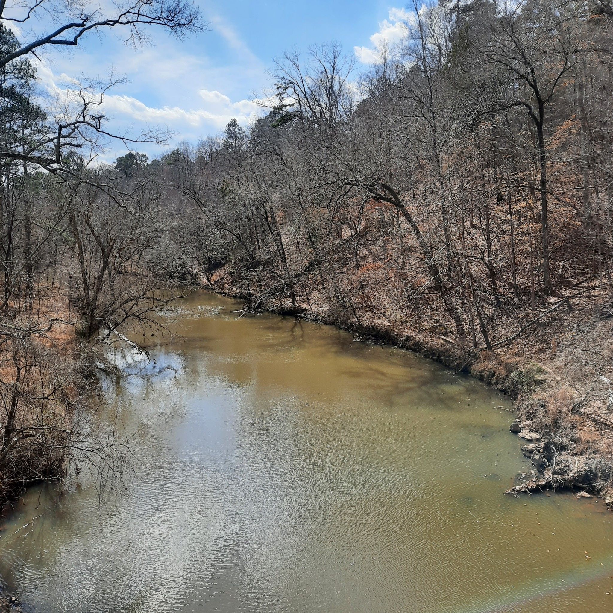 A winding river flows through a forest of bare trees under a cloudy sky. - Mountains-to-Sea Trail: Segment 10
