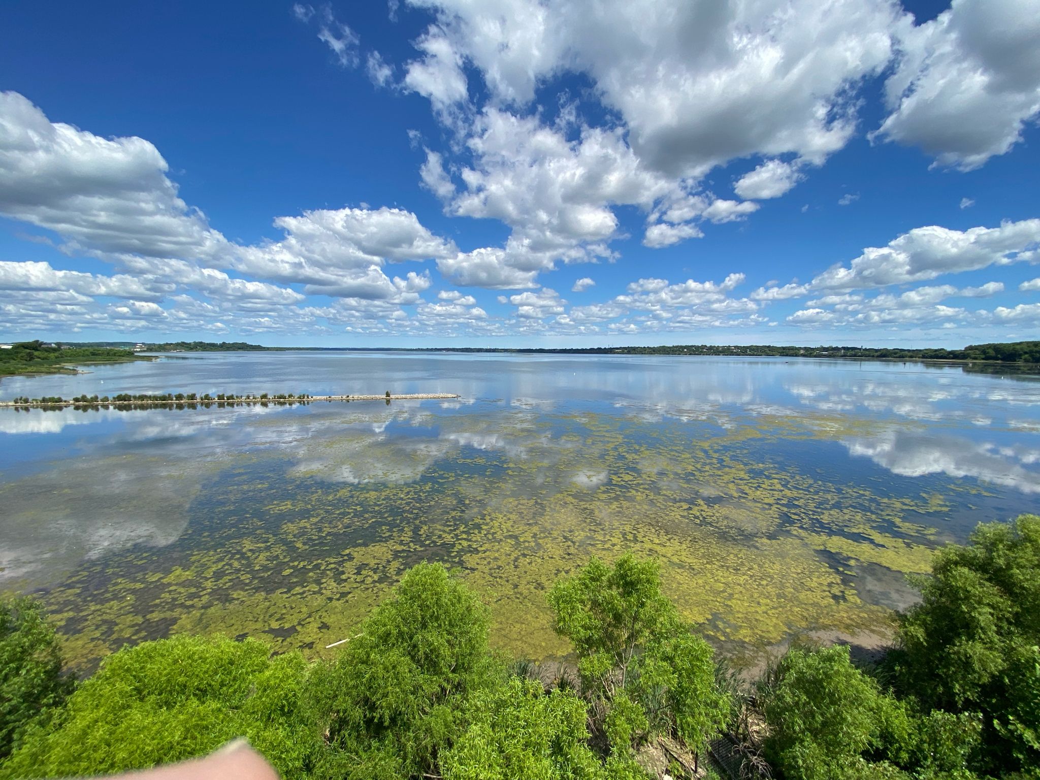 Wide lake reflecting clouds, with green algae and distant shoreline under a blue sky. - Onondaga Creekwalk
