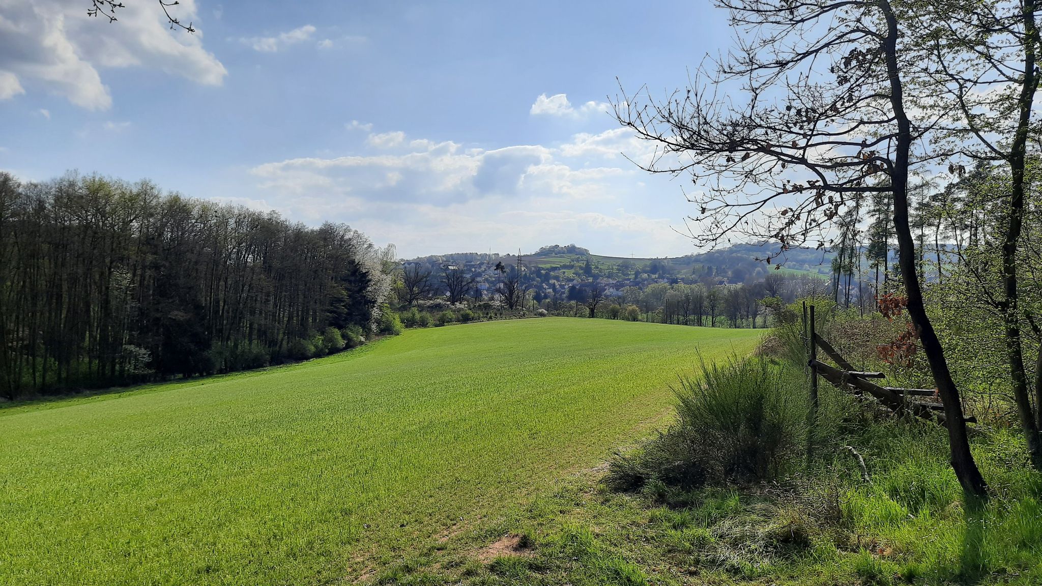 Blick über Odenhausen zum Lützelberg