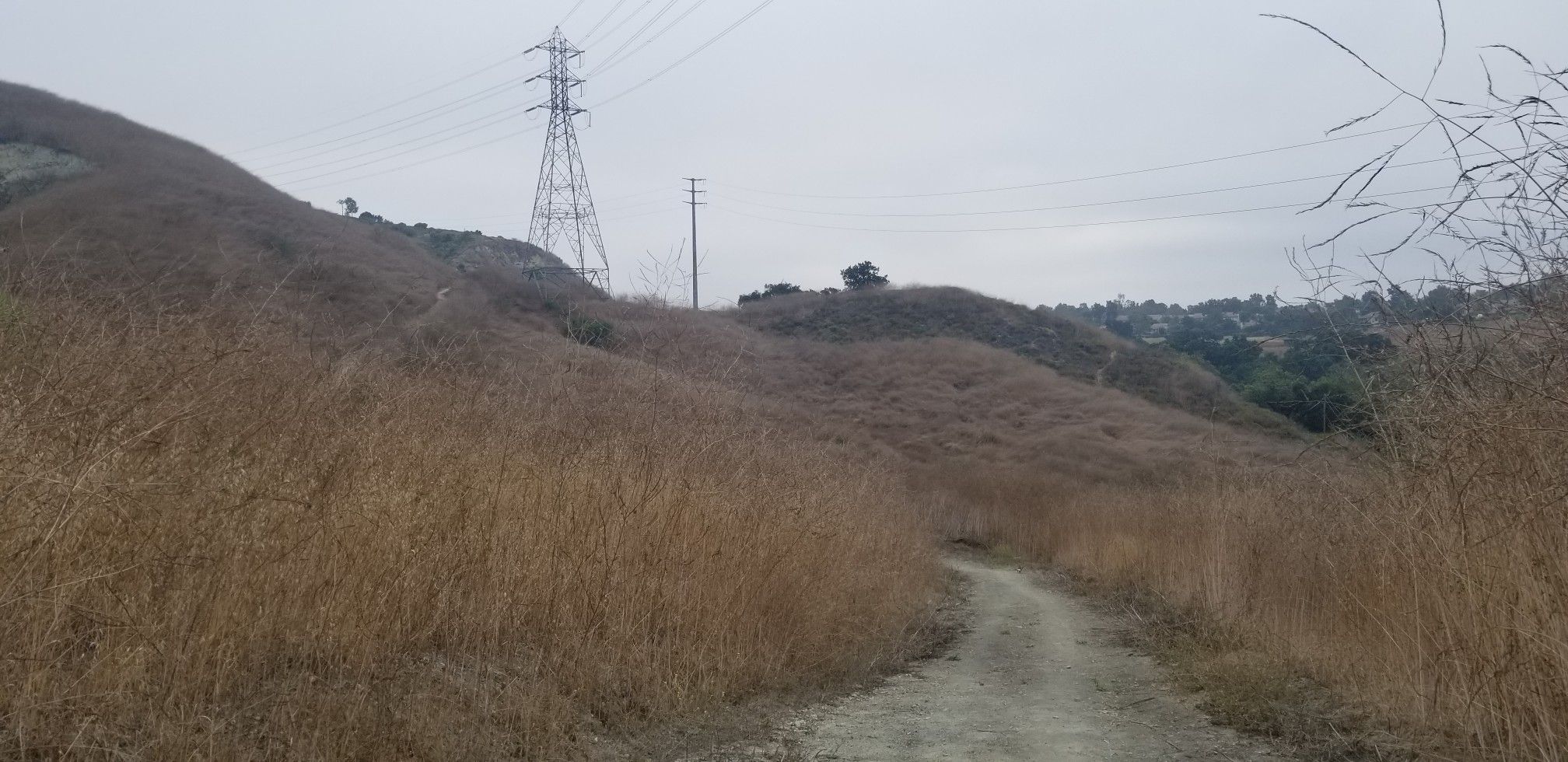 Dirt path winding through dry, golden hills under an overcast sky with power lines. - Arroyo Trabuco Trail: Robert Curtis Park to Oso Parkway