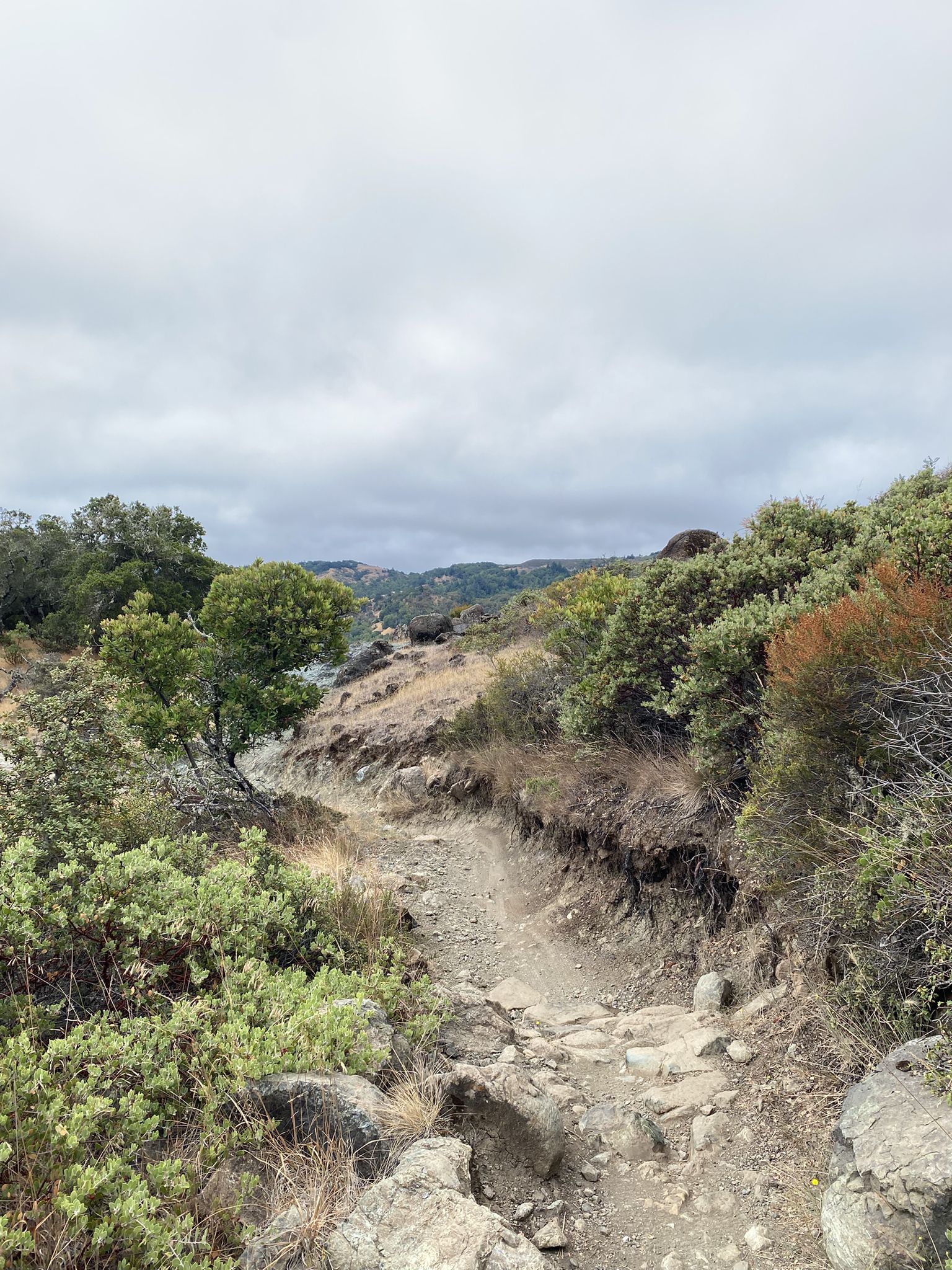 A rocky, narrow dirt trail winds through green and brown hills under clouds. - Fairfax Tamarancho Trails loop