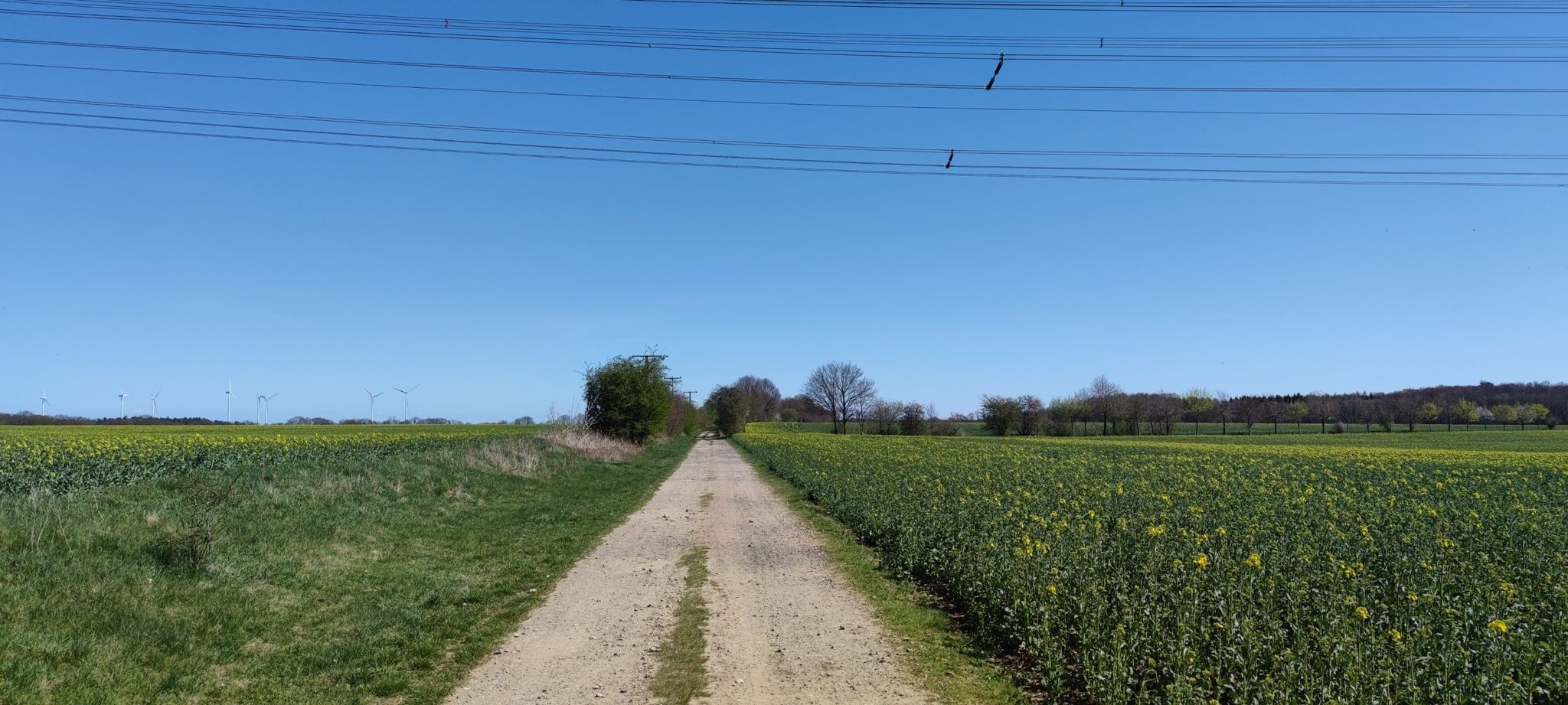 Aussicht