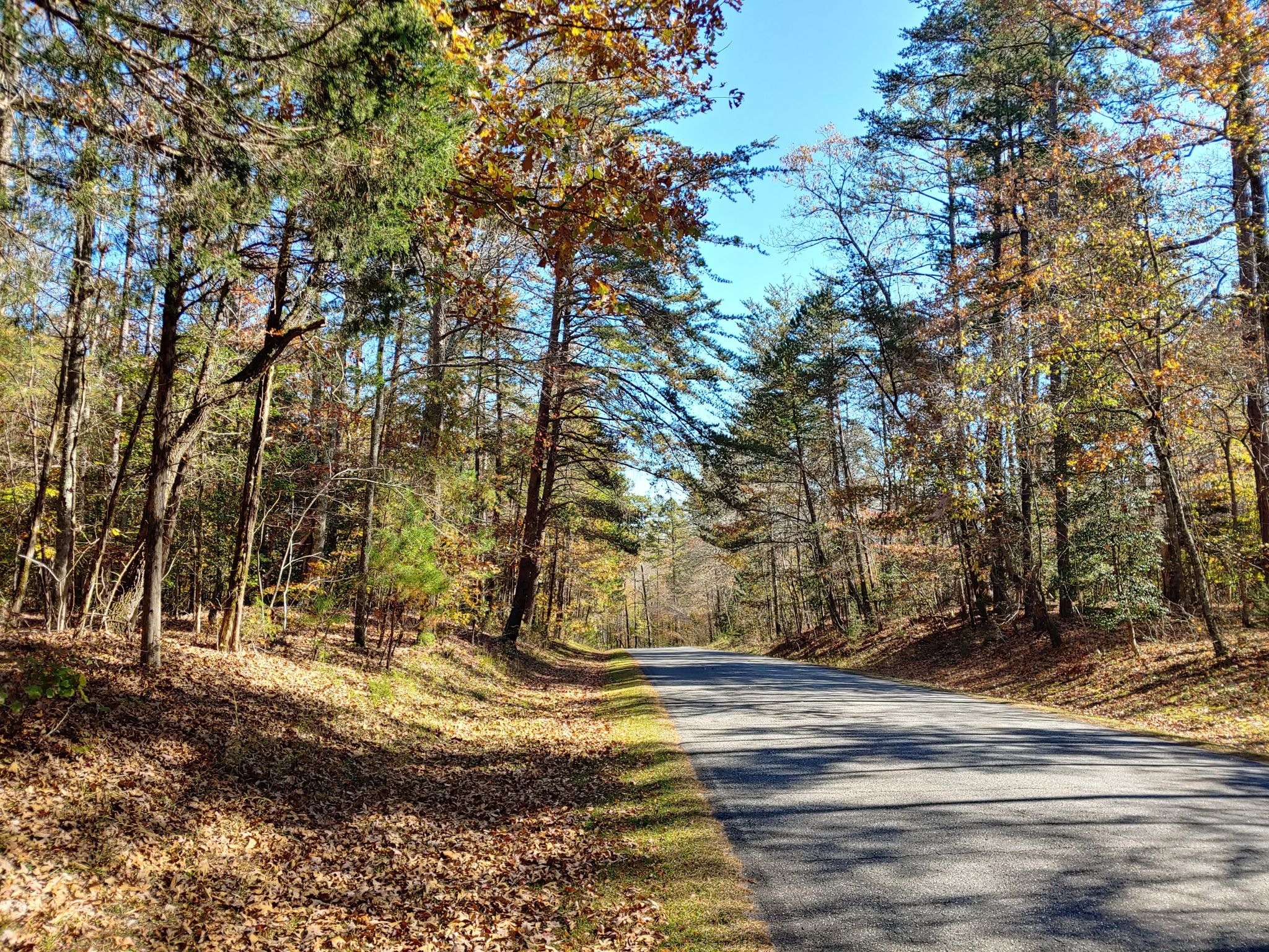 Paved road winding through a forest with autumn trees and sunny clear sky. - Roadbike loop from Crowders Mountain