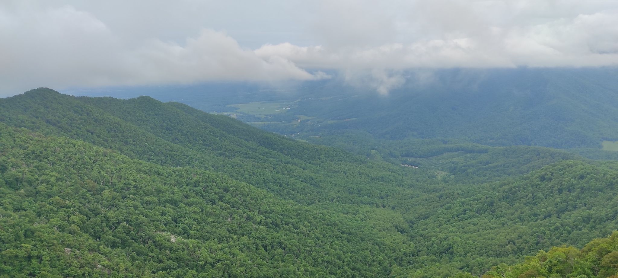 Lush green forested mountains and a valley under a cloudy sky. - Hanging Rock