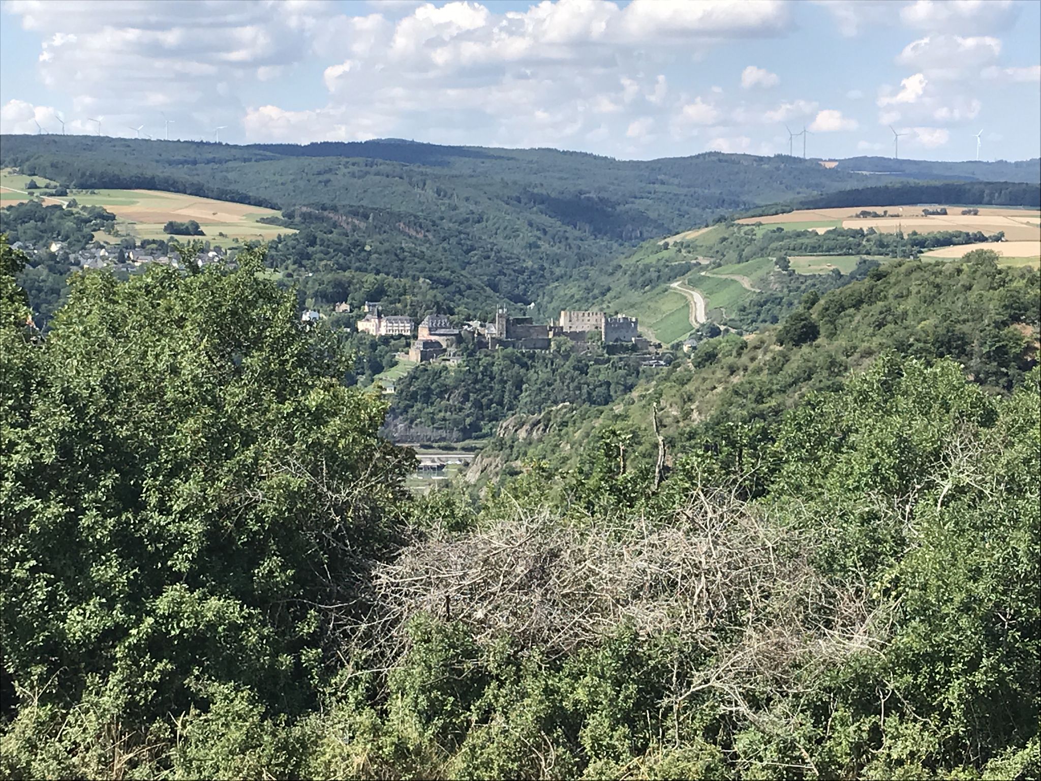 Festung Rheinfels