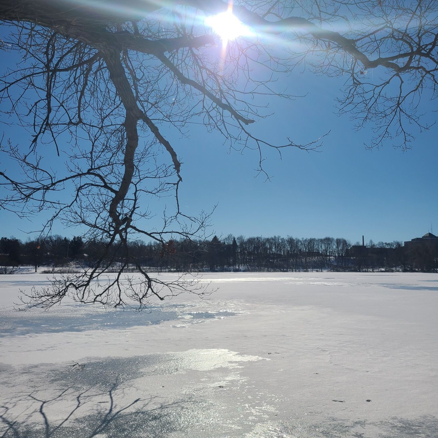 Bright sun over a frozen lake with bare tree branches in winter. - Spring Valley Park Trail
