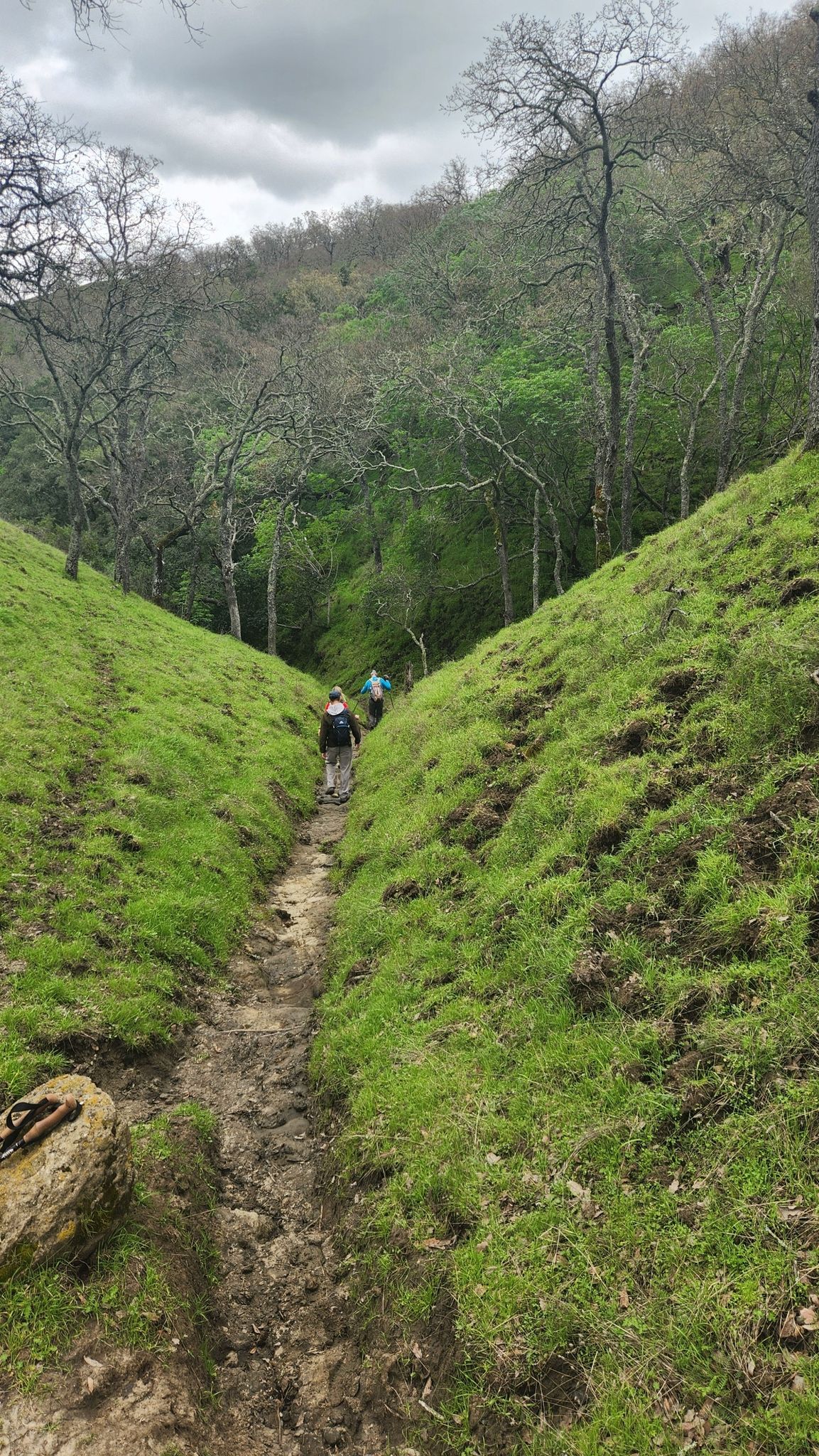 Two hikers on a muddy path between steep grassy banks in a green forest. - Castle Rock with Birds loop from Diablo Foothills Regional Park