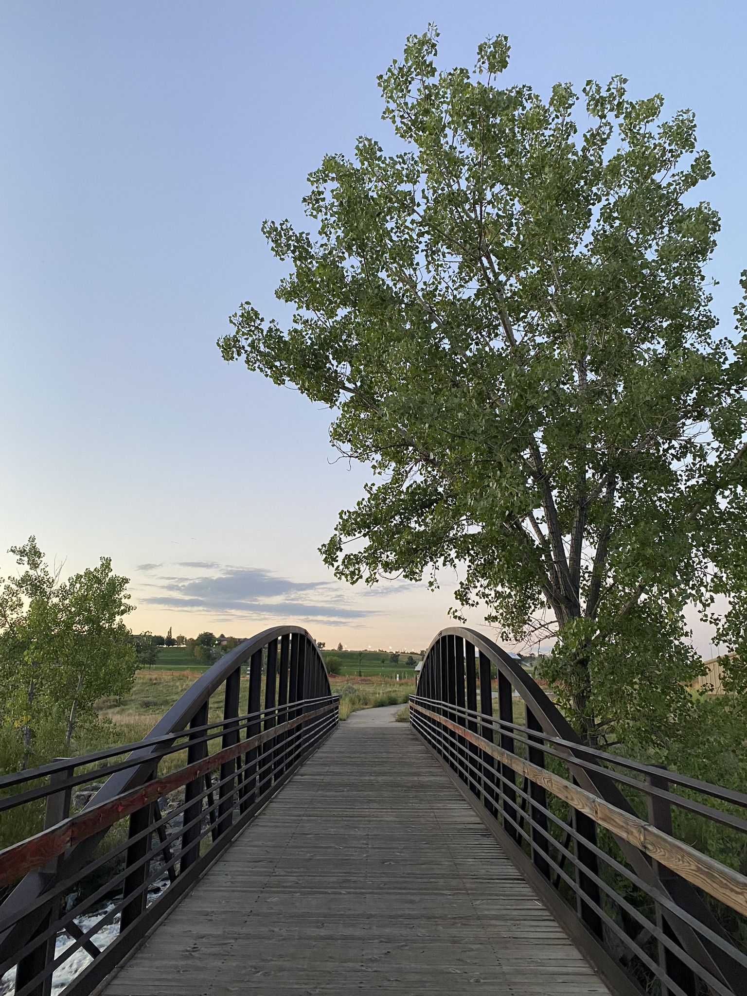 Arched pedestrian bridge with wooden deck, leading towards a large tree. - Big Dry Creek Trail loop from Big Dry Creek Open Space