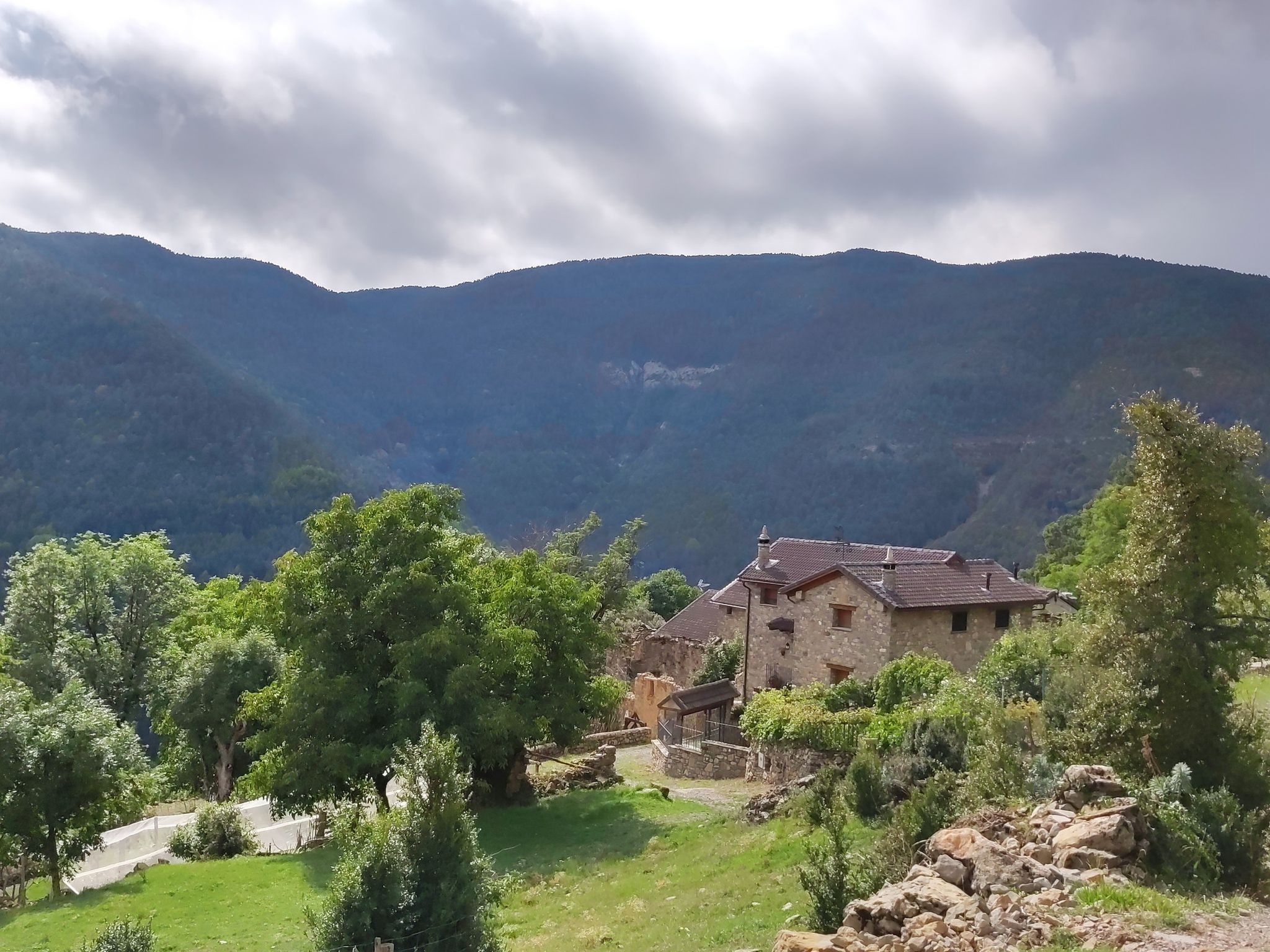 Sercué