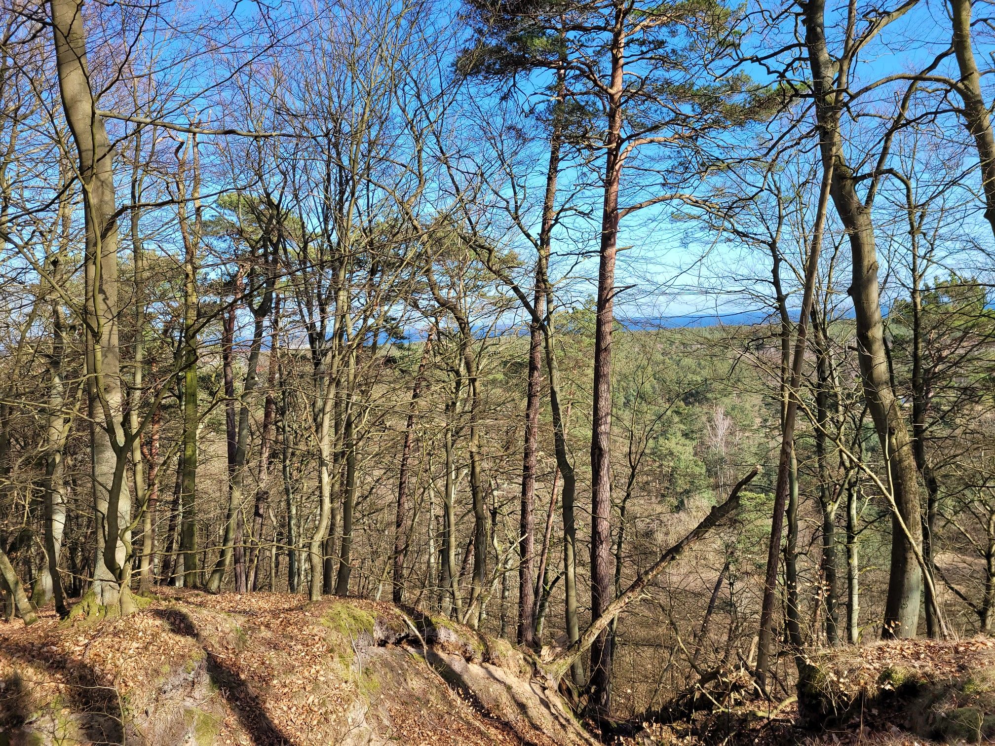 auf dem Zierowberg