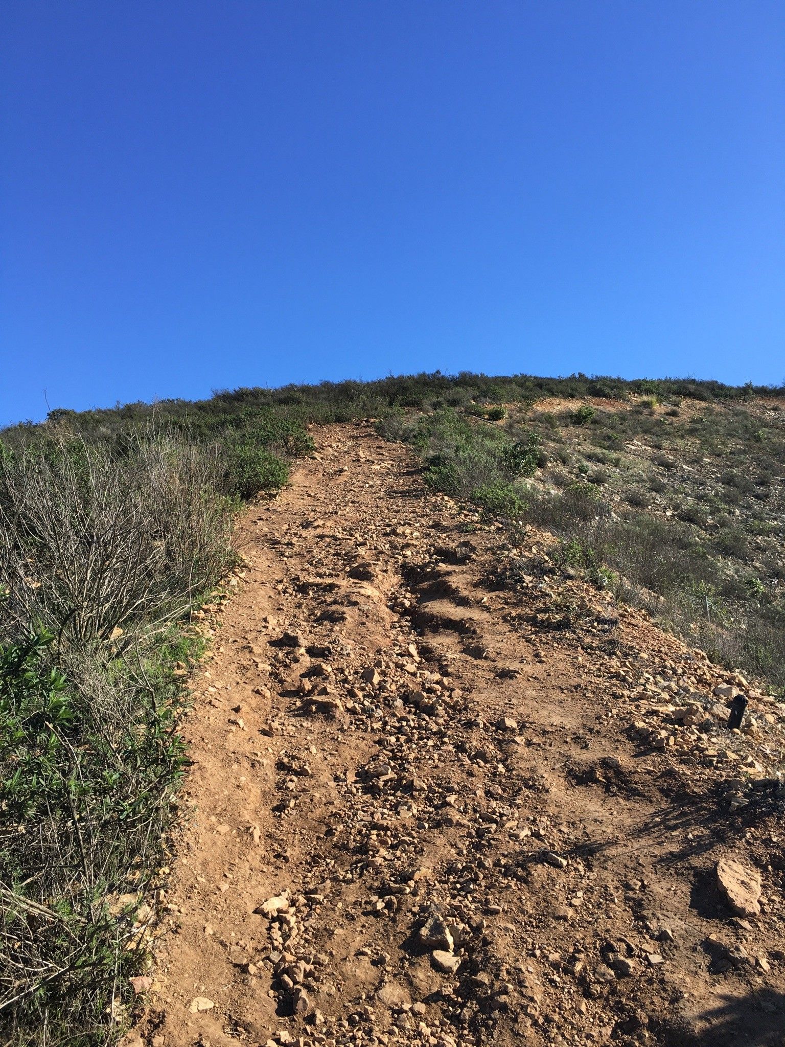 Steep, rocky dirt path ascending a brush-covered hill under a clear sky. - San Elijo Road Climb – Double Peak loop from San Elijo Hills