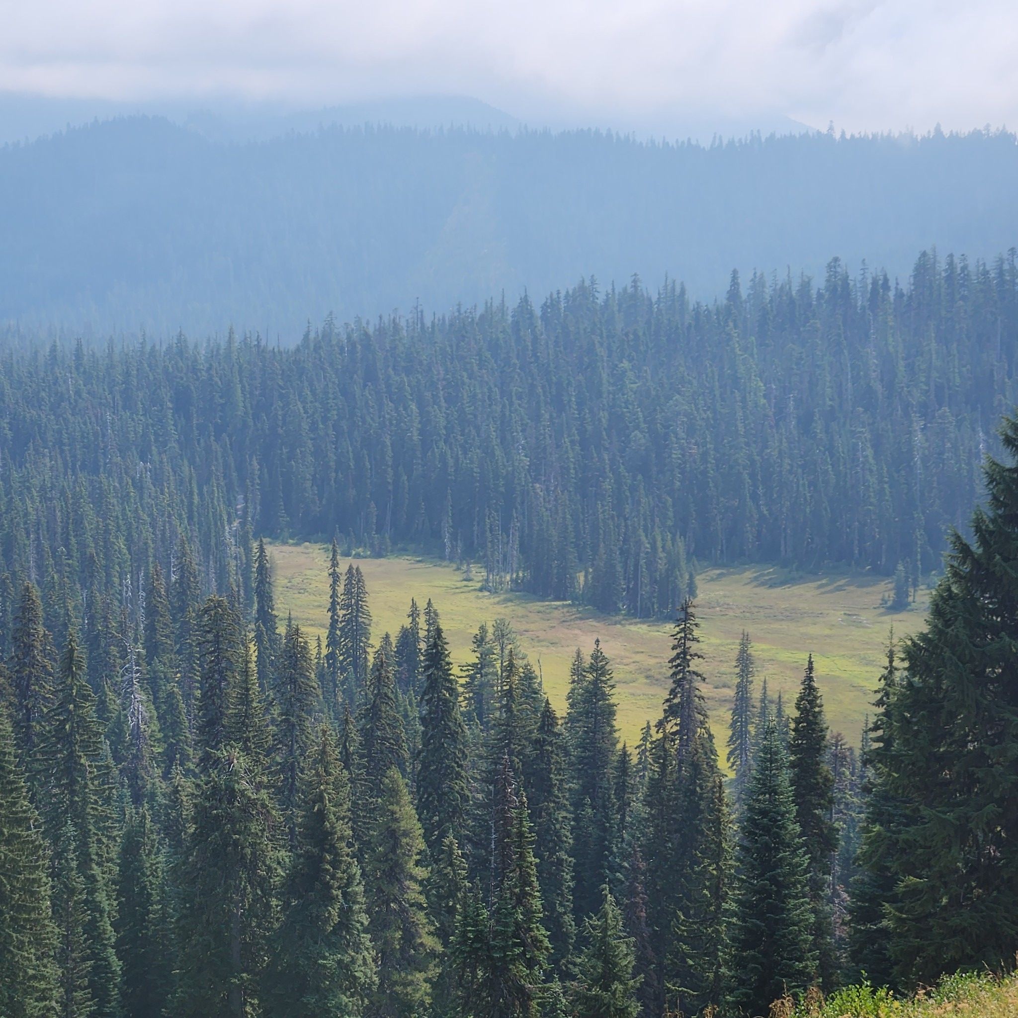 A vast evergreen forest with a central green meadow under hazy skies. - Umbrella Falls & Sahale Falls – Mount Hood National Forest