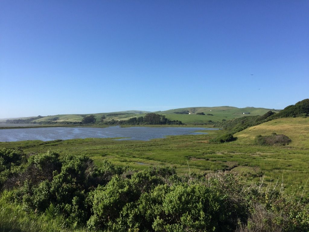 A wide river flows through green hills under a bright blue sky. - Tomales Bay Trailhead loop from Point Reyes Station
