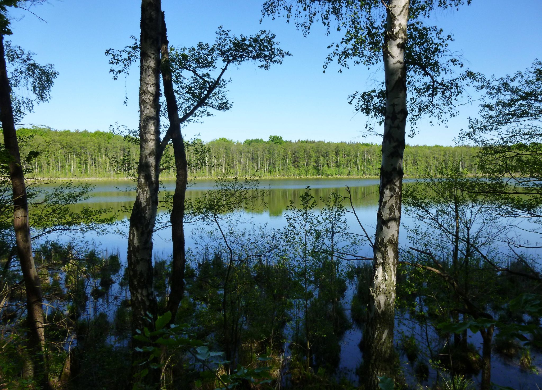 Petersdorfer See