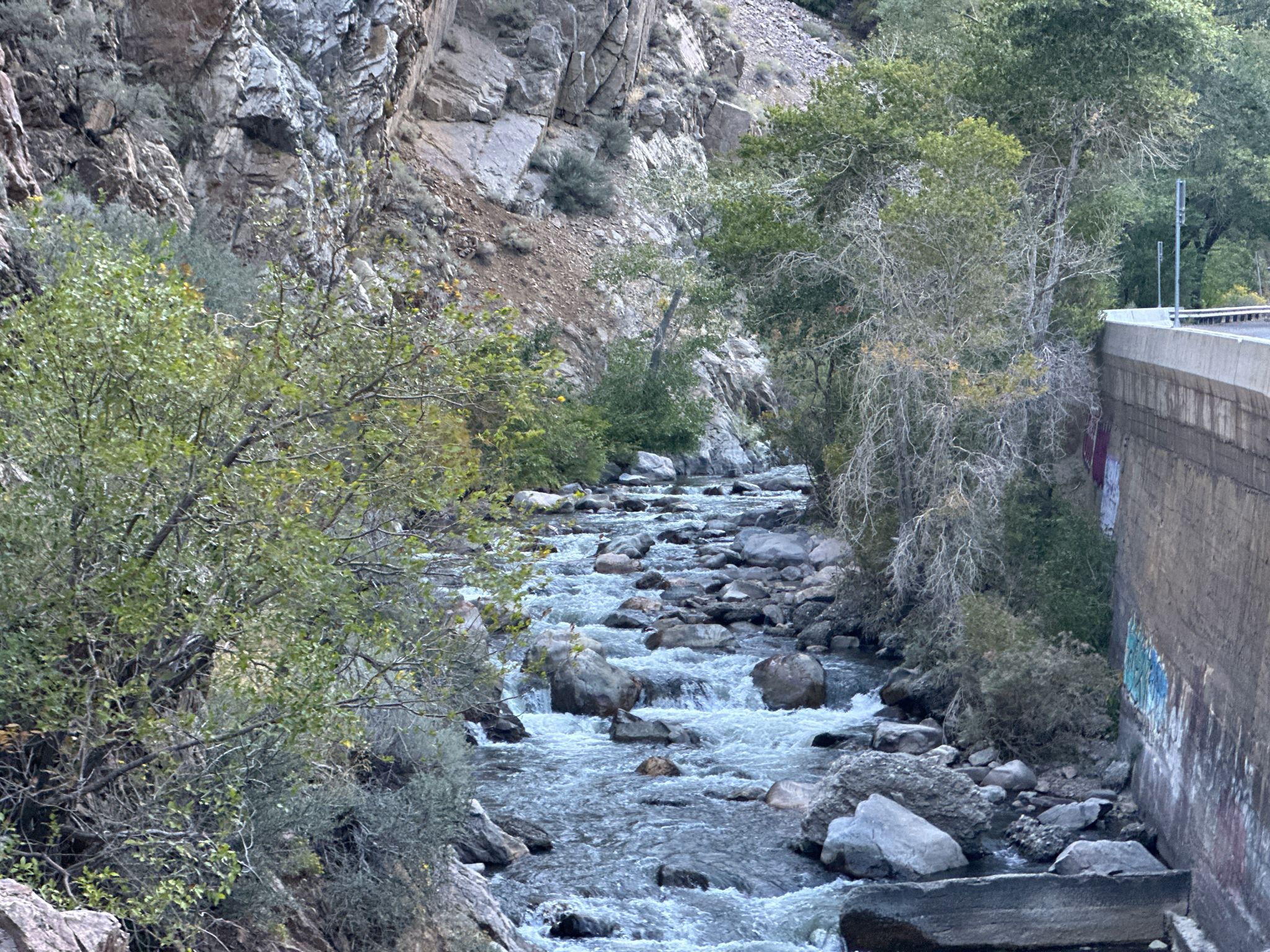 Rocky river flows through a canyon with green trees and a concrete wall. - Ogden Canyon Kiln via Pineview Reservoir loop