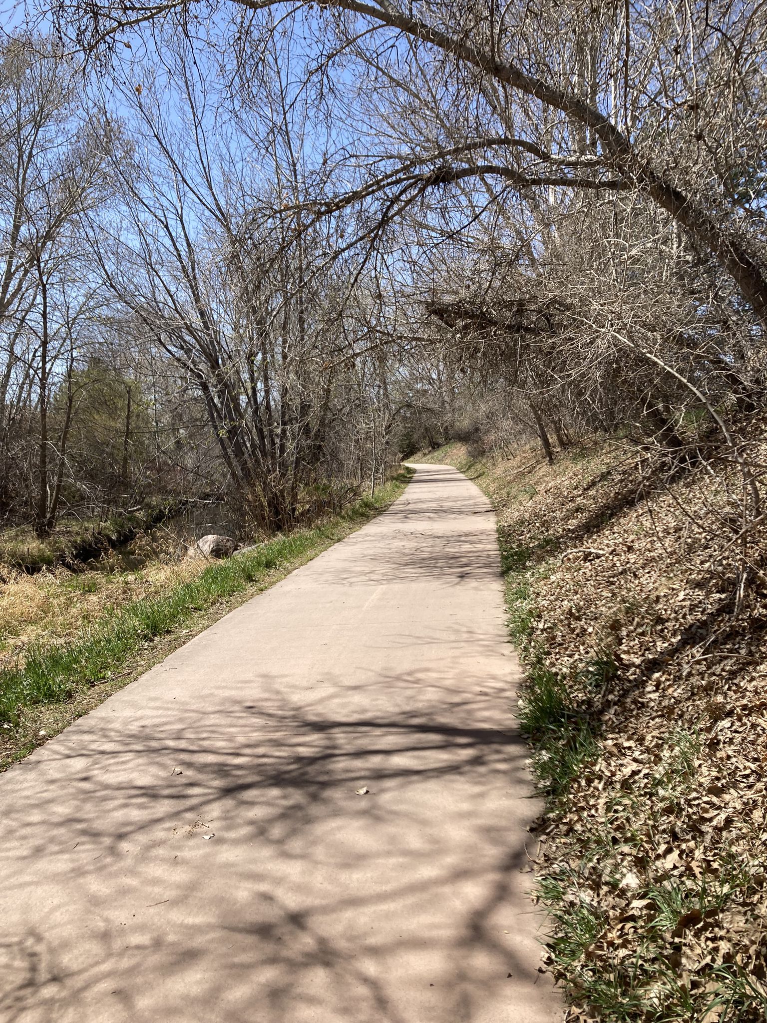 Sunny paved path through a wooded area with bare trees and long shadows. - The Coterie – Cattail Chorus Natural Area loop from The Coterie