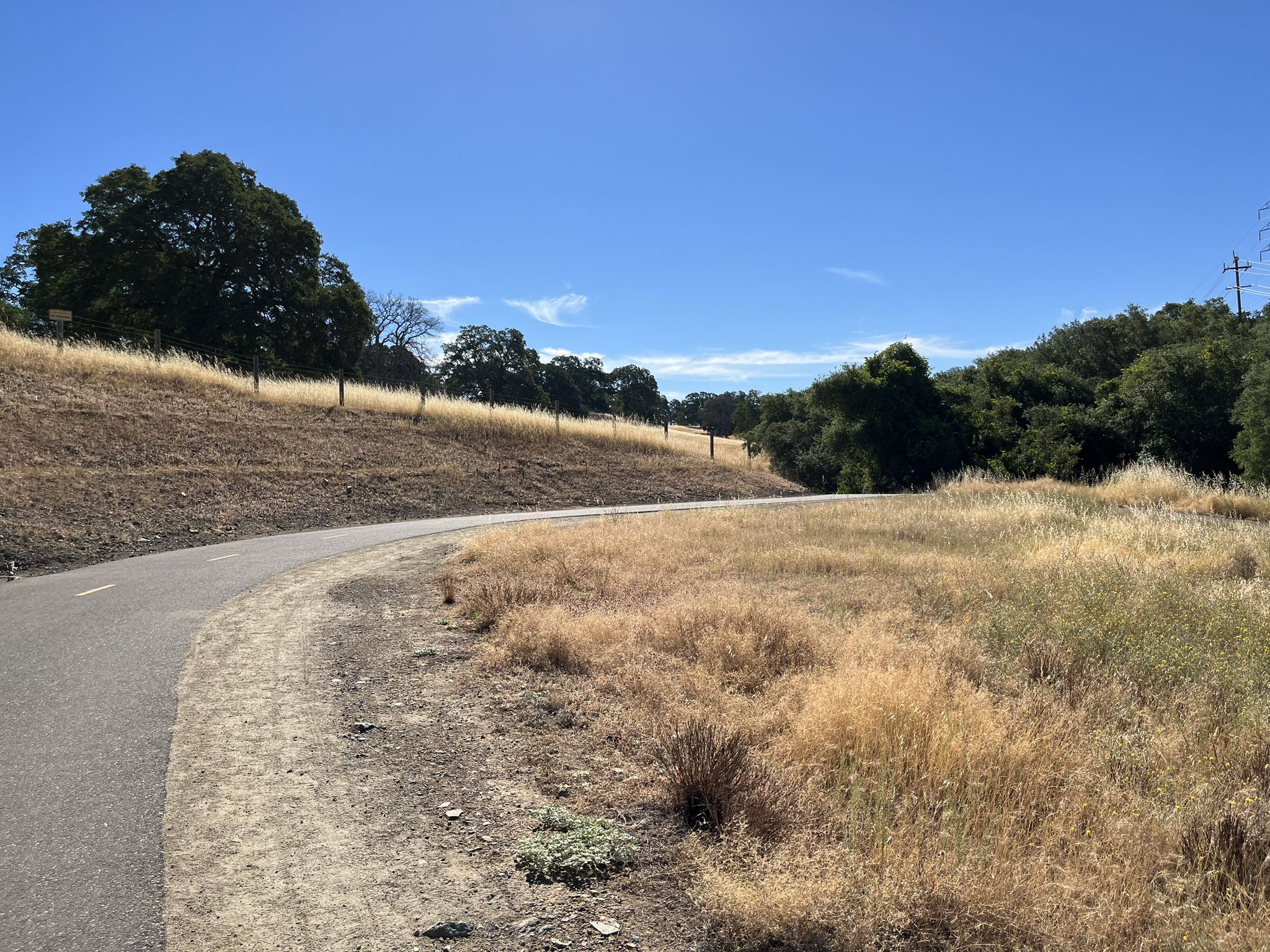 Paved path curving through dry golden grass and green trees on a sunny day. - Johnny Cash and Oak Parkway Trails