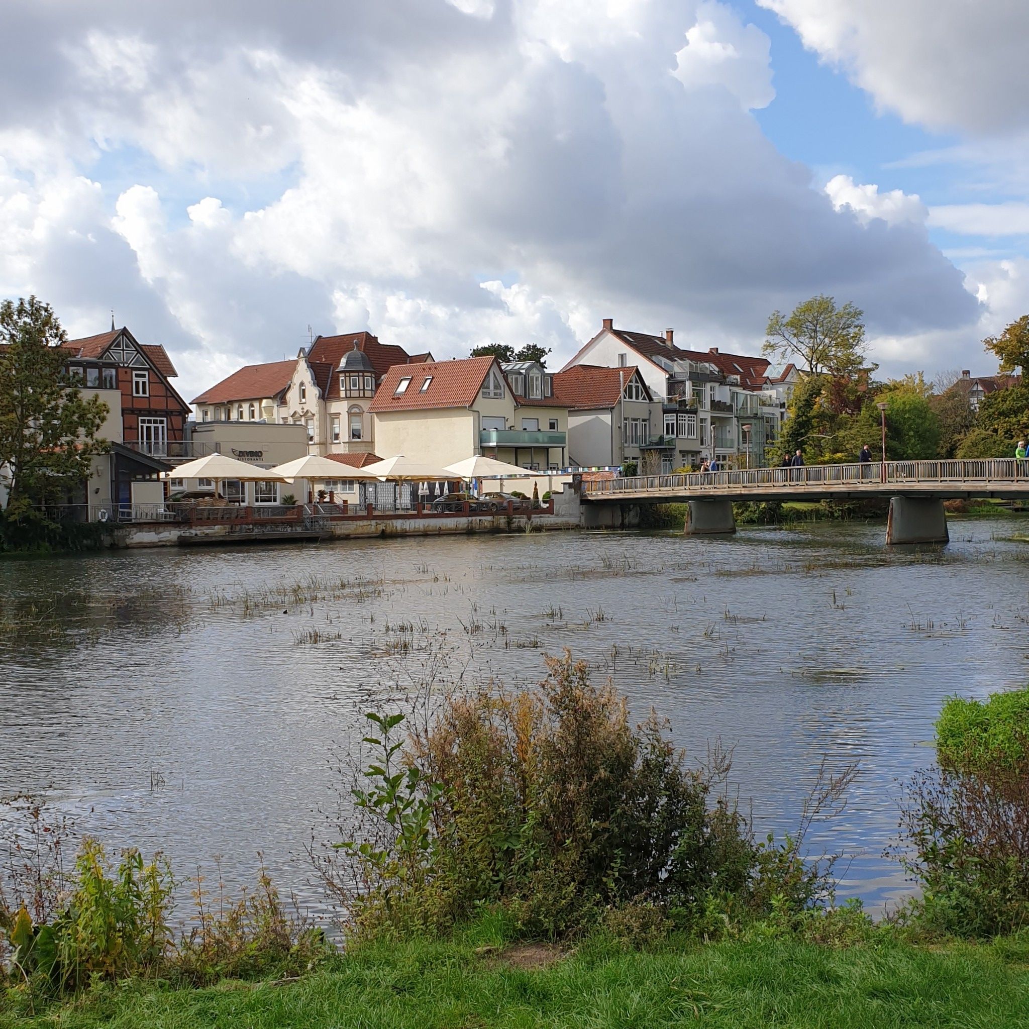 Die Wasserpflanzen aus der Trockenheit bleiben anscheinend