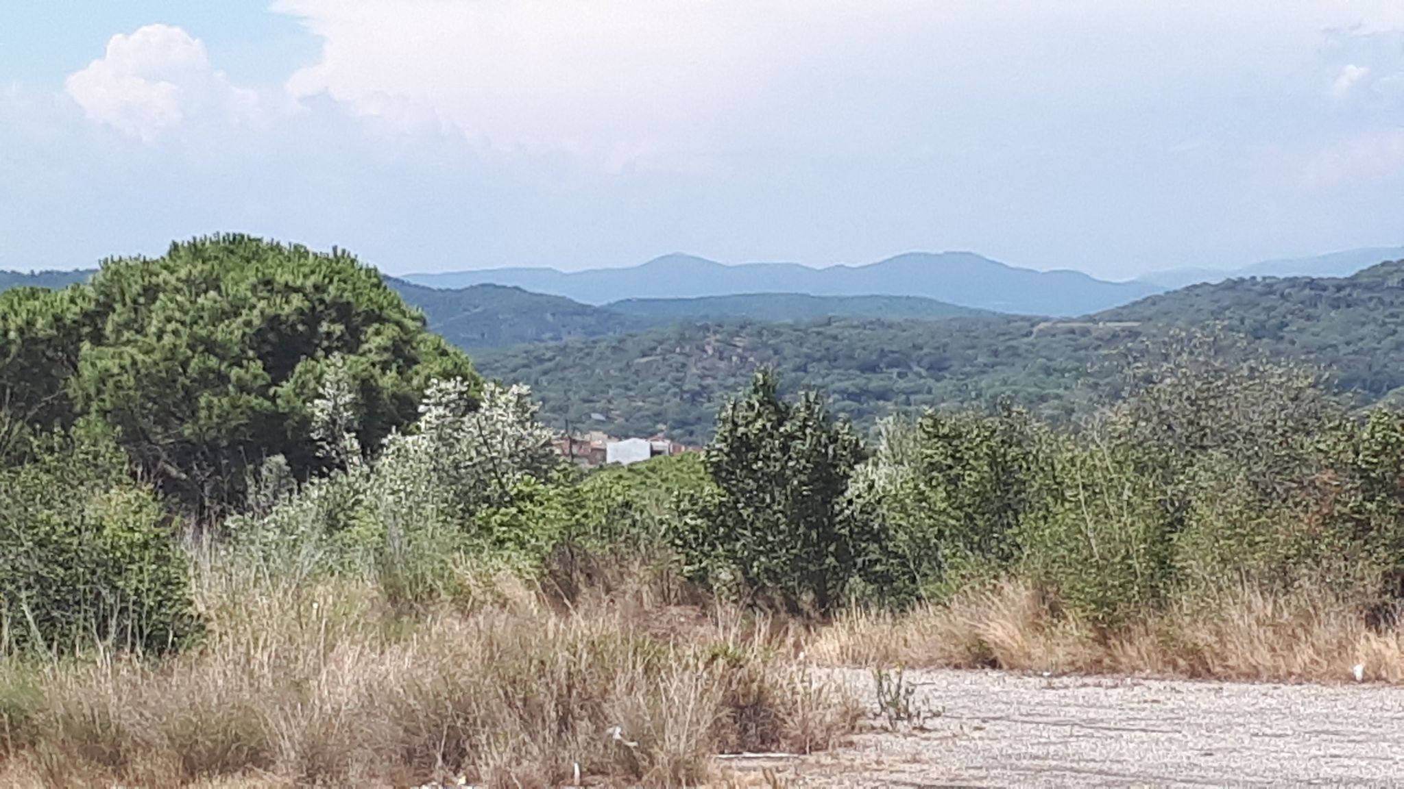 der Montseny im Hintergrund 