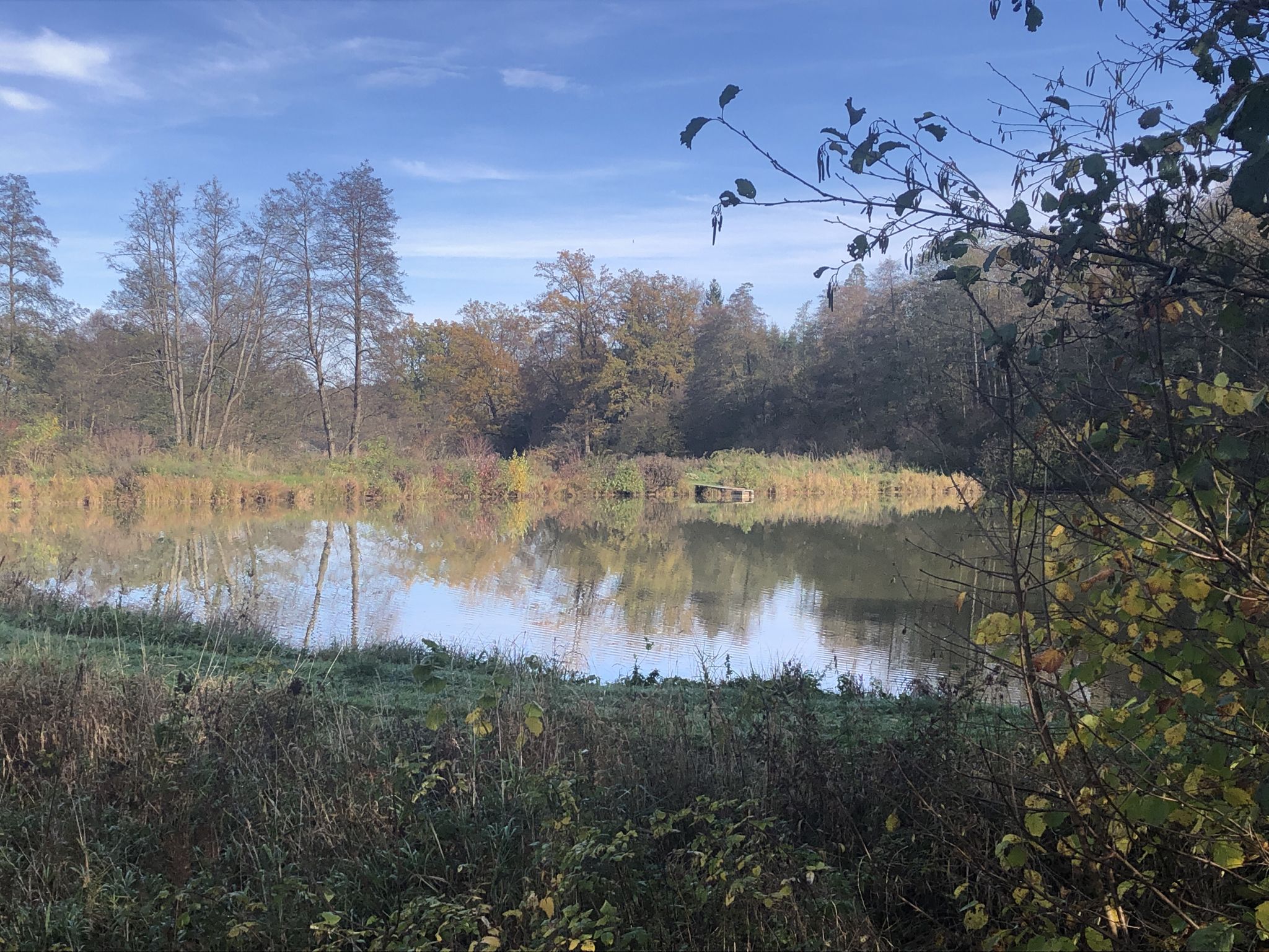 Ziegelweiher