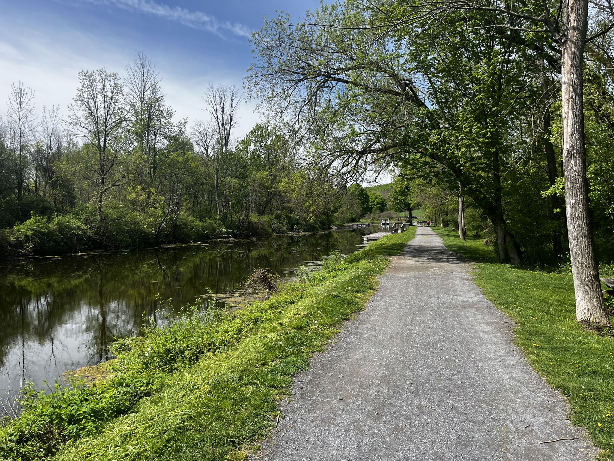Gravel path next to a calm river, lined with lush green trees on a bright day. - Erie Canalway Trail: Camillus to Jordan