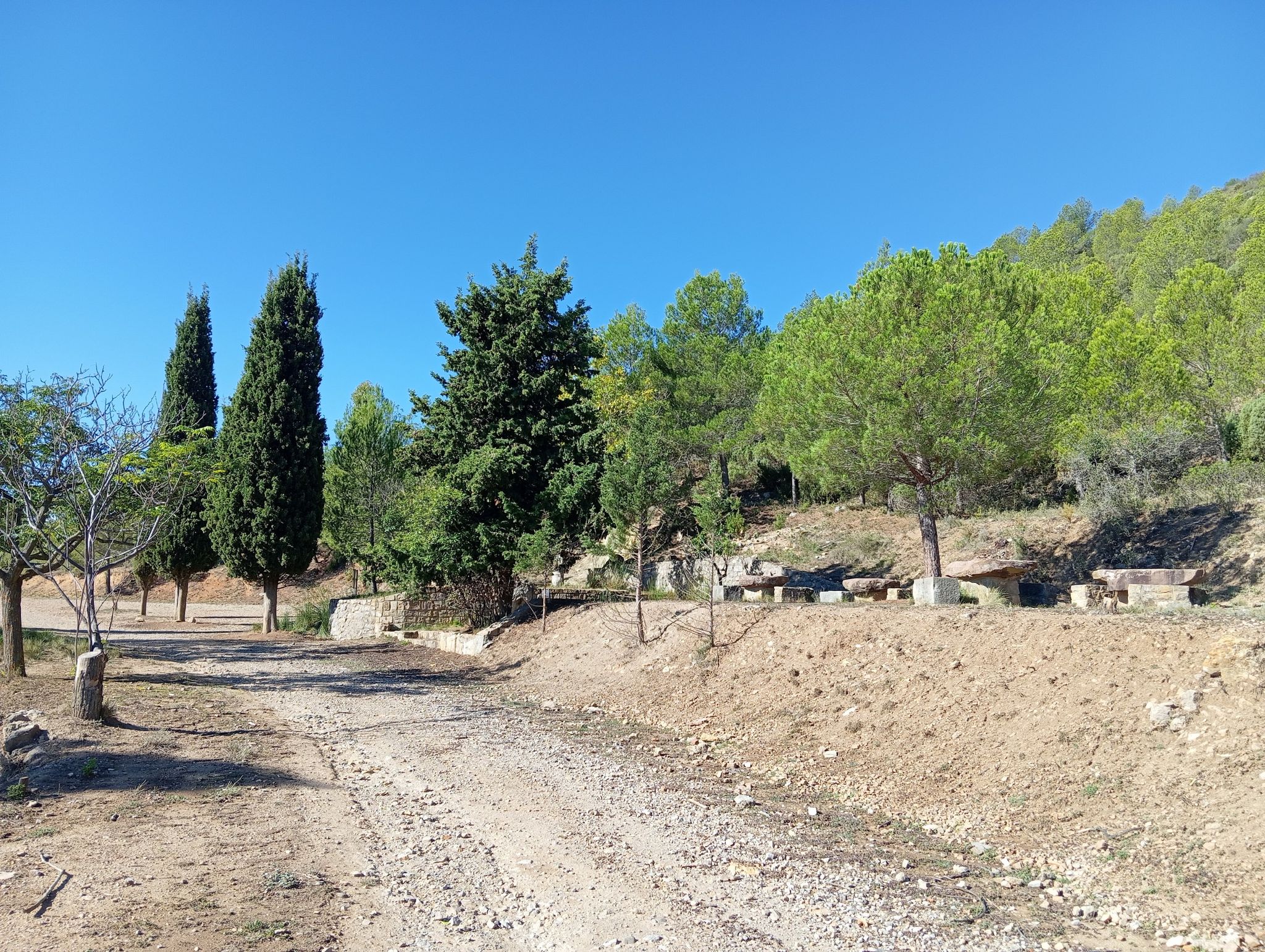 fuente castellanos