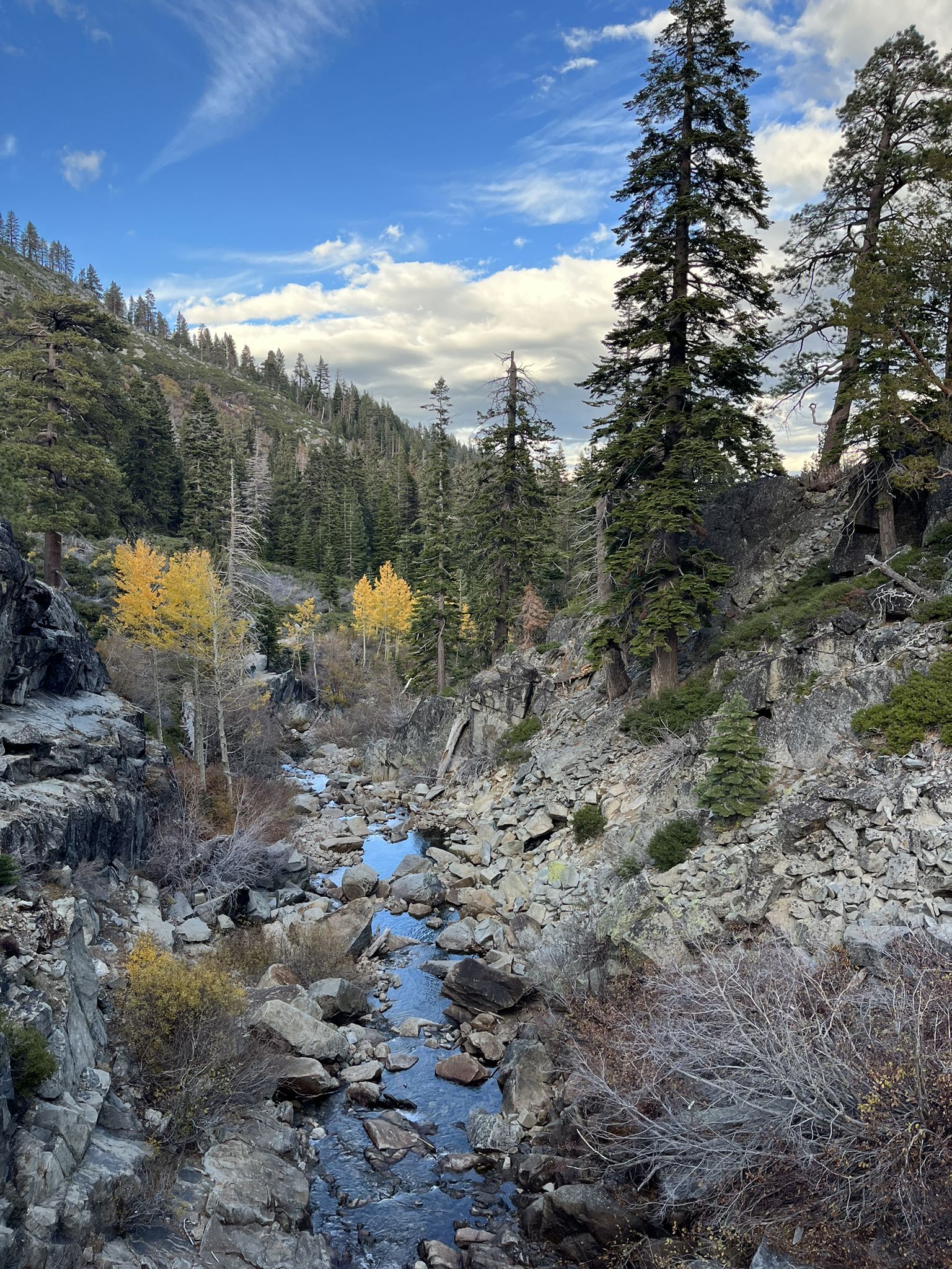 Rocky stream flowing through a forested canyon with autumn foliage. - Eagle Trail Loop