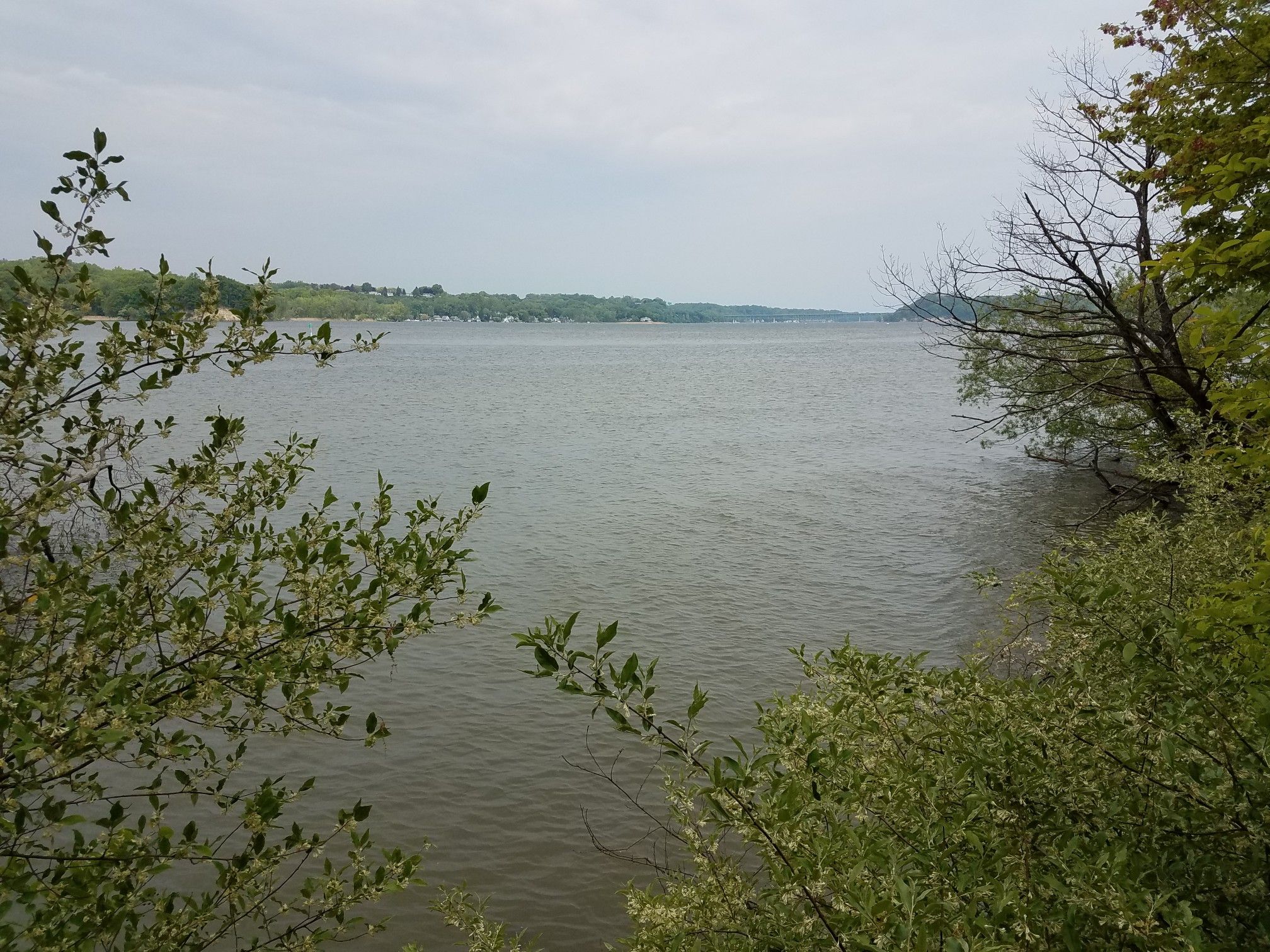 Wide river under an overcast sky, framed by green trees and distant shore. - Irondequoit Bay views loop from Snider Island