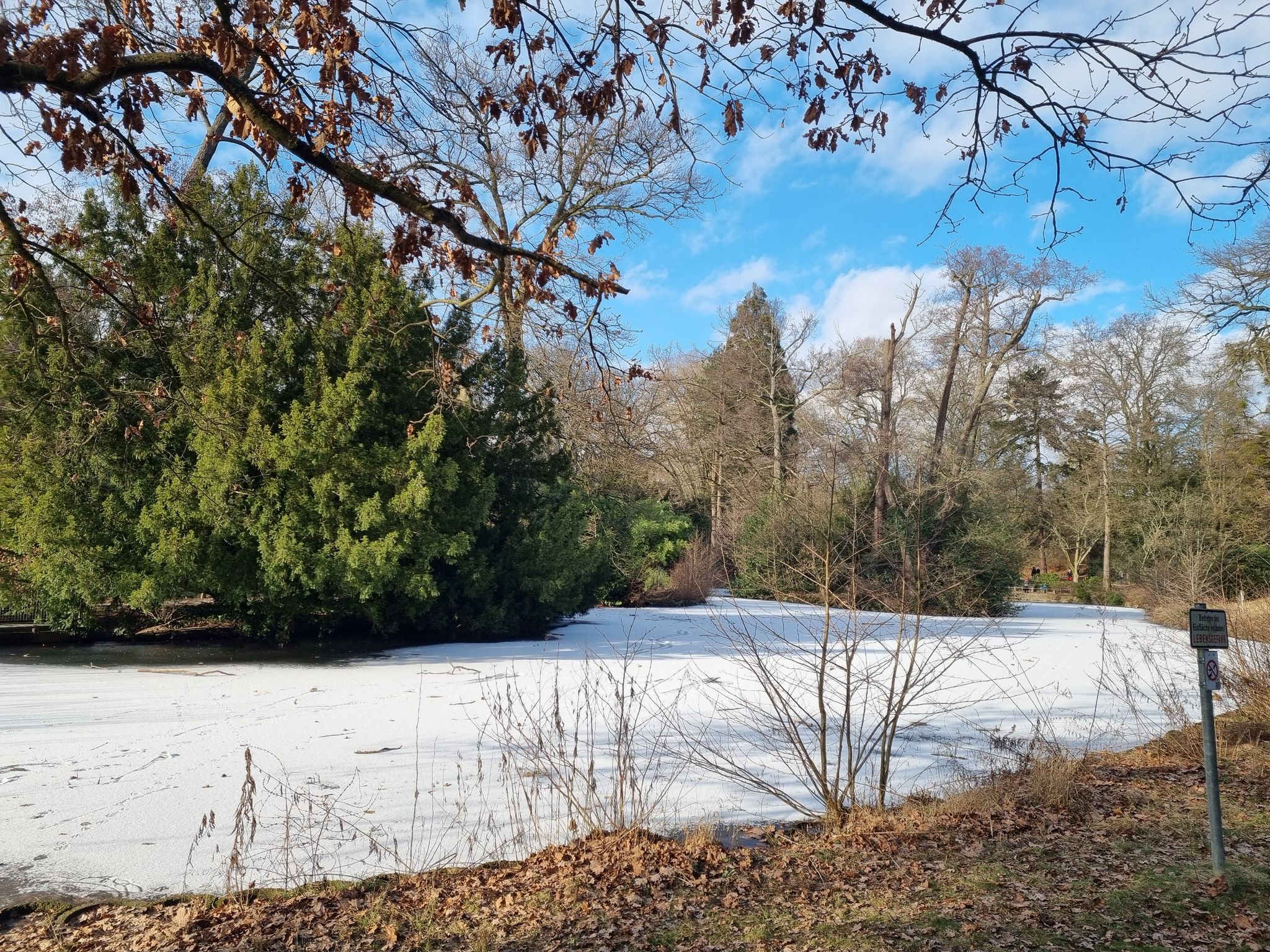 Kleiner See am oberen Kurpark