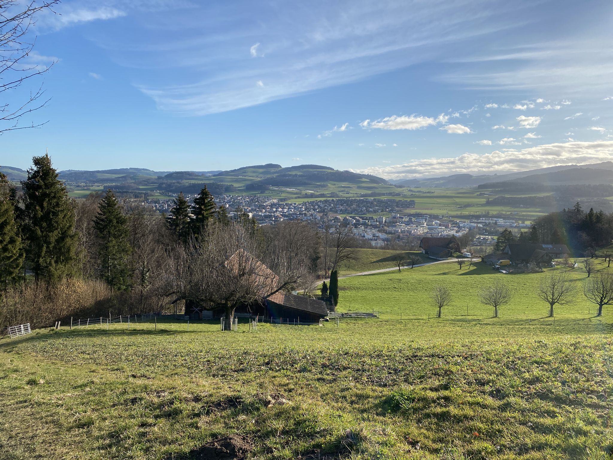 Münsingen