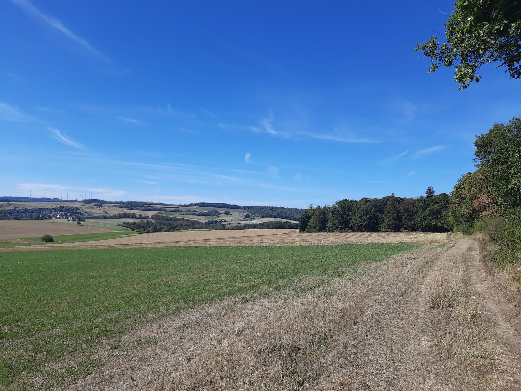 Blick Richtung Holzhausen