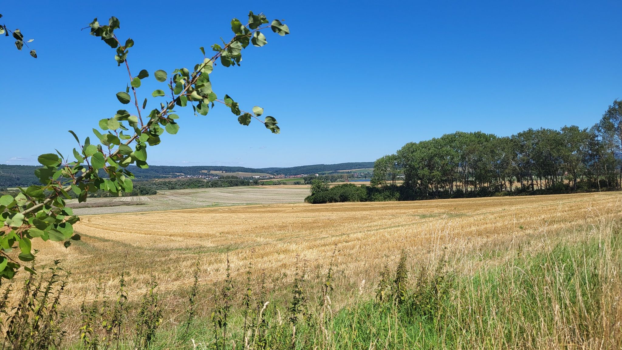 Werraaue