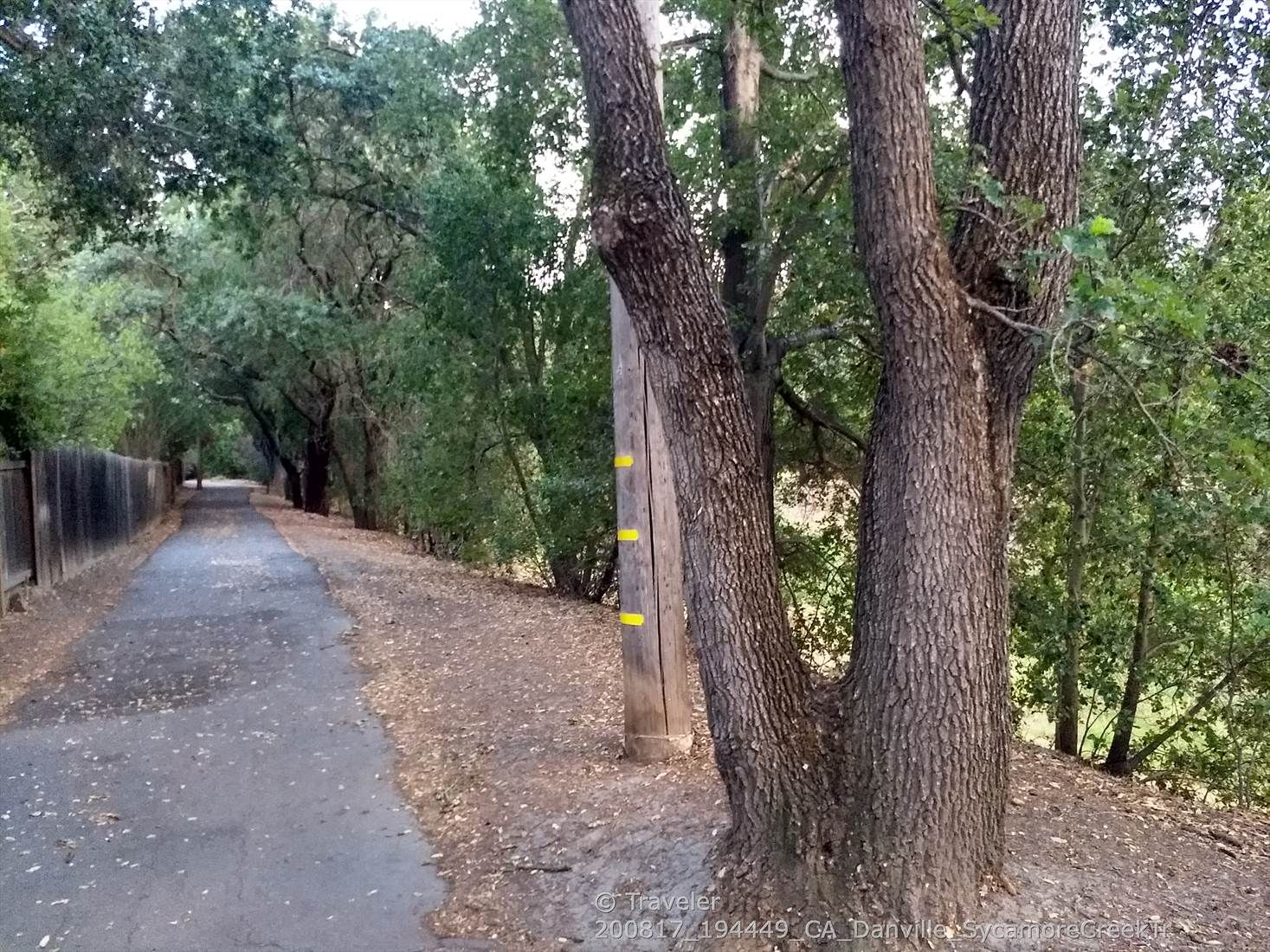 Paved path alongside a fence and large trees with dappled light. - San Ramon iron horse trail – Iron Horse Trail loop from Camino Tassajara & Tassajara Village