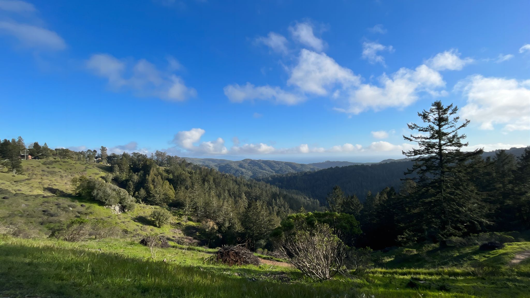 Rolling green hills and dense forest under a bright blue sky. - South Stinson Beach Overlook via Panoramic Highway