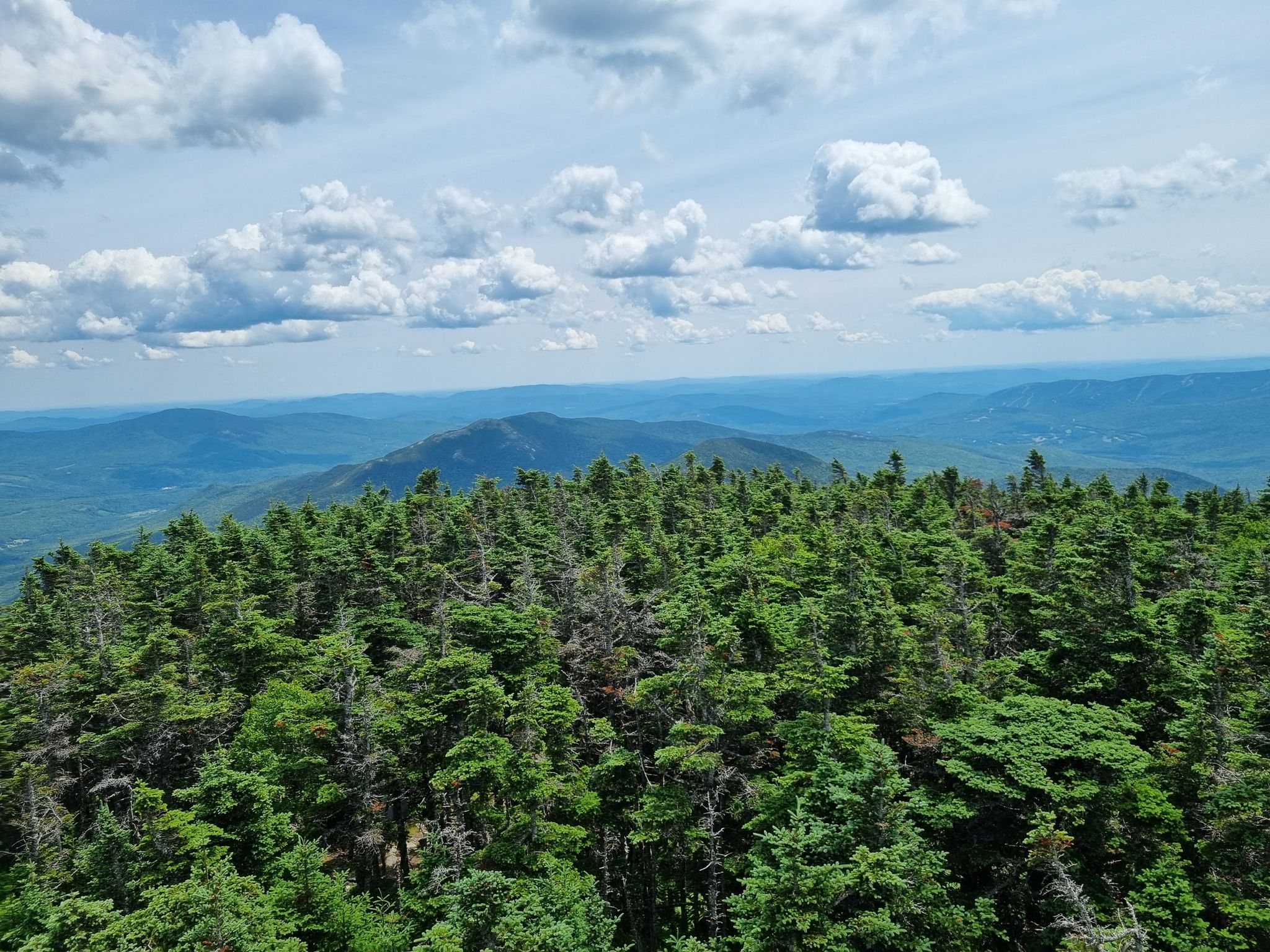 Expansive view of dense green forest canopy under a bright, cloudy sky. - Old Speck Trail