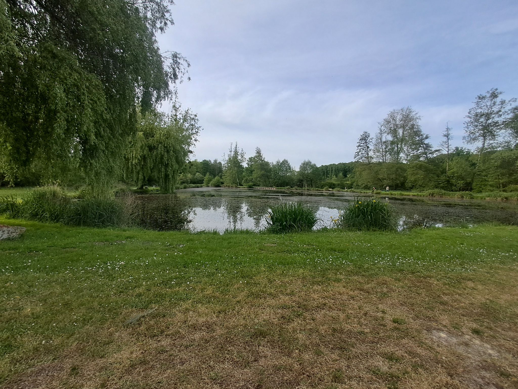 plan d'eau des essards 