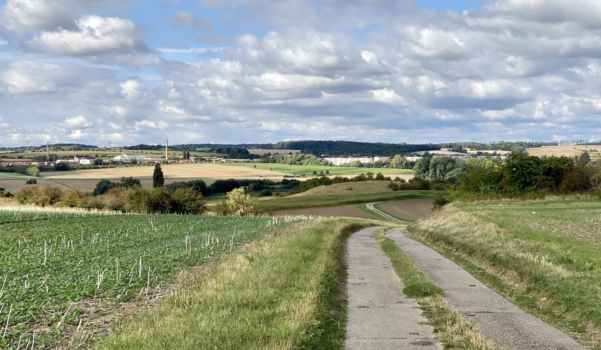 Hügelige Landschaft, Allertal vor Wefensleben