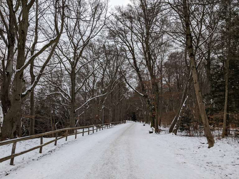 München - Isar, Hochleite und Marienklause | Wanderung | Komoot