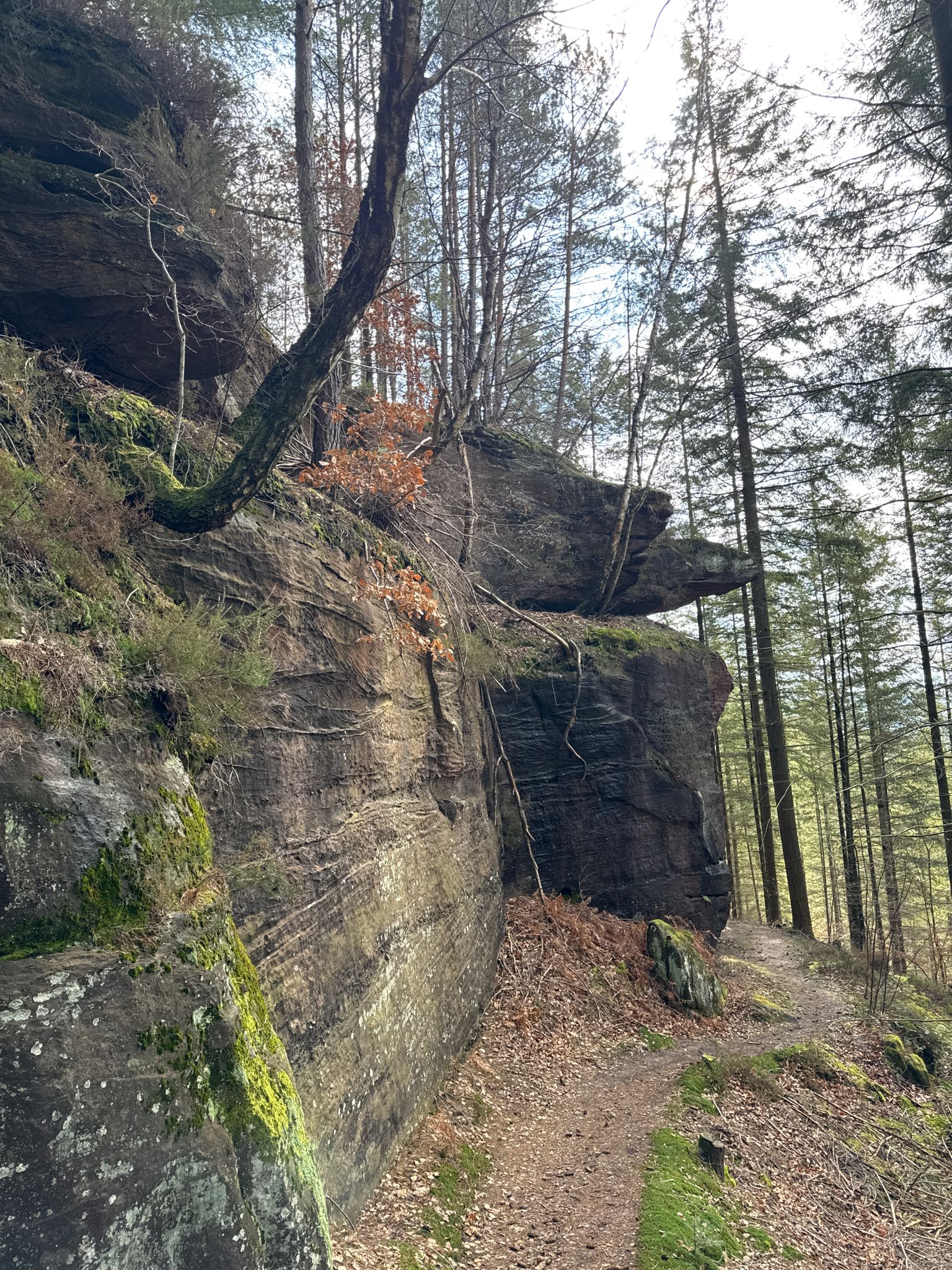 am Fuchsfelsen