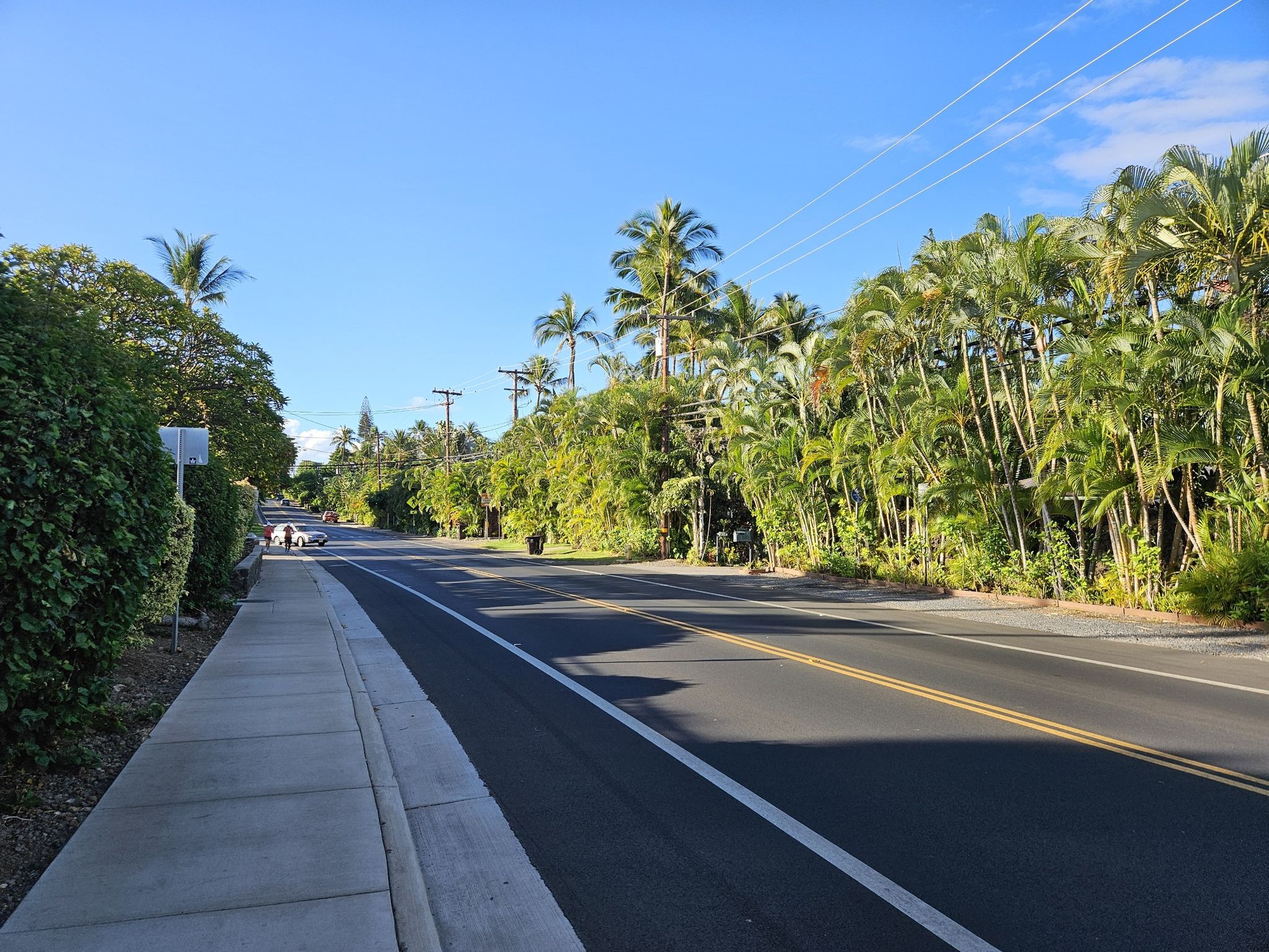Empty road lined with tall palm trees and lush green foliage. - Keawakapu Beach loop run via Kihei & Kauhale