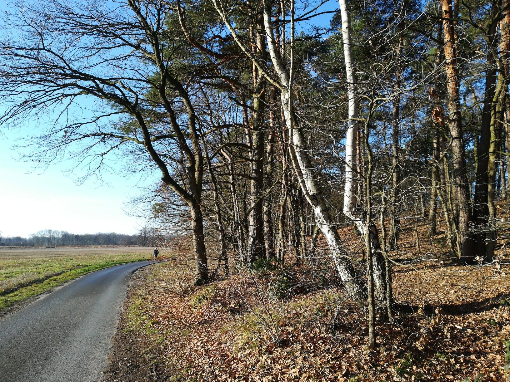 Am Alkenbring 