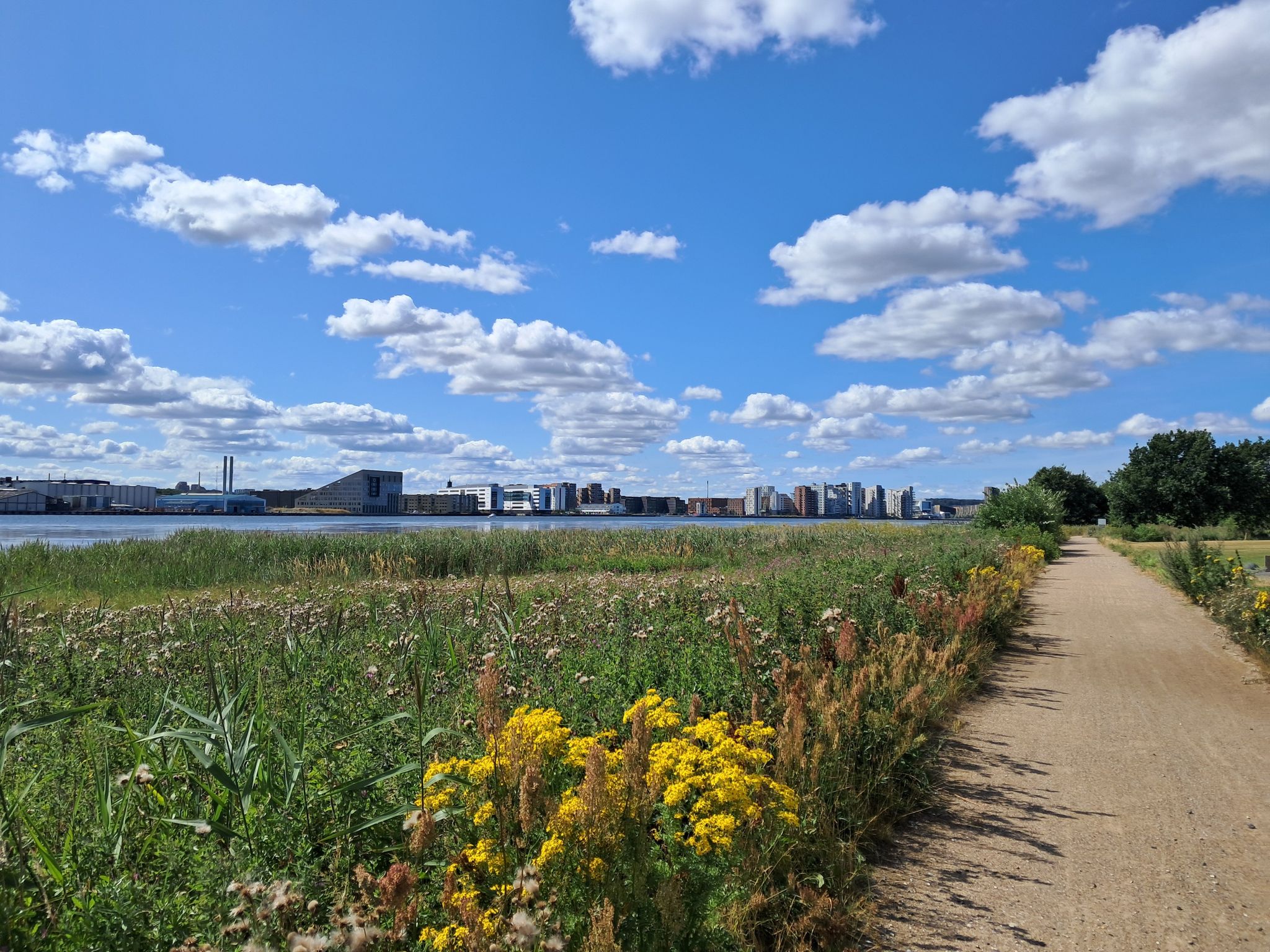 Aalborg