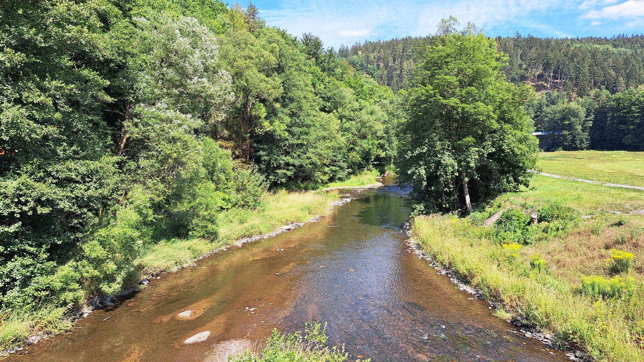 Wenig  Wasser in der Zschopau