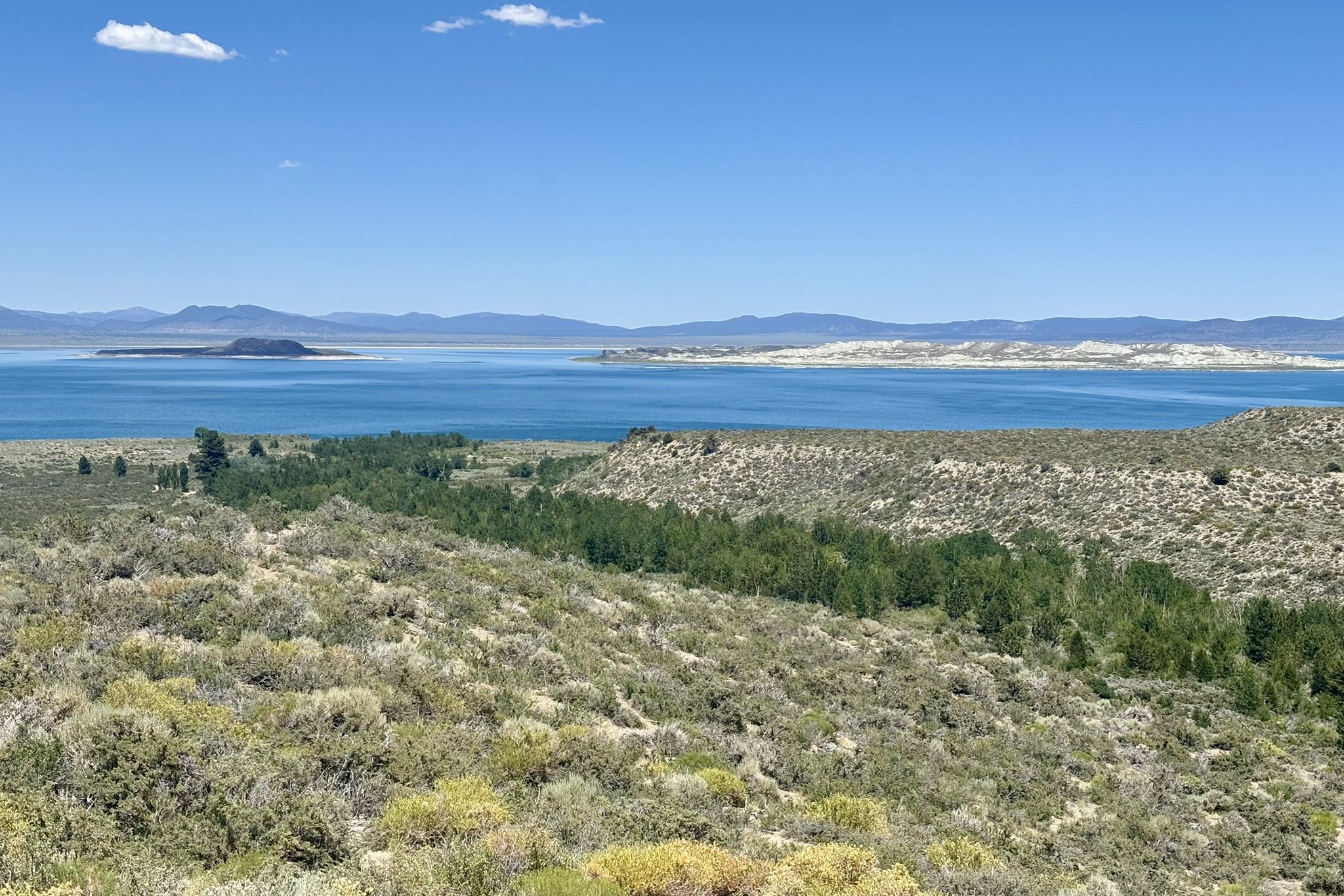 An expansive view of a blue lake, a green valley, and arid hills under a clear sky. - Lee Vining Creek Trail