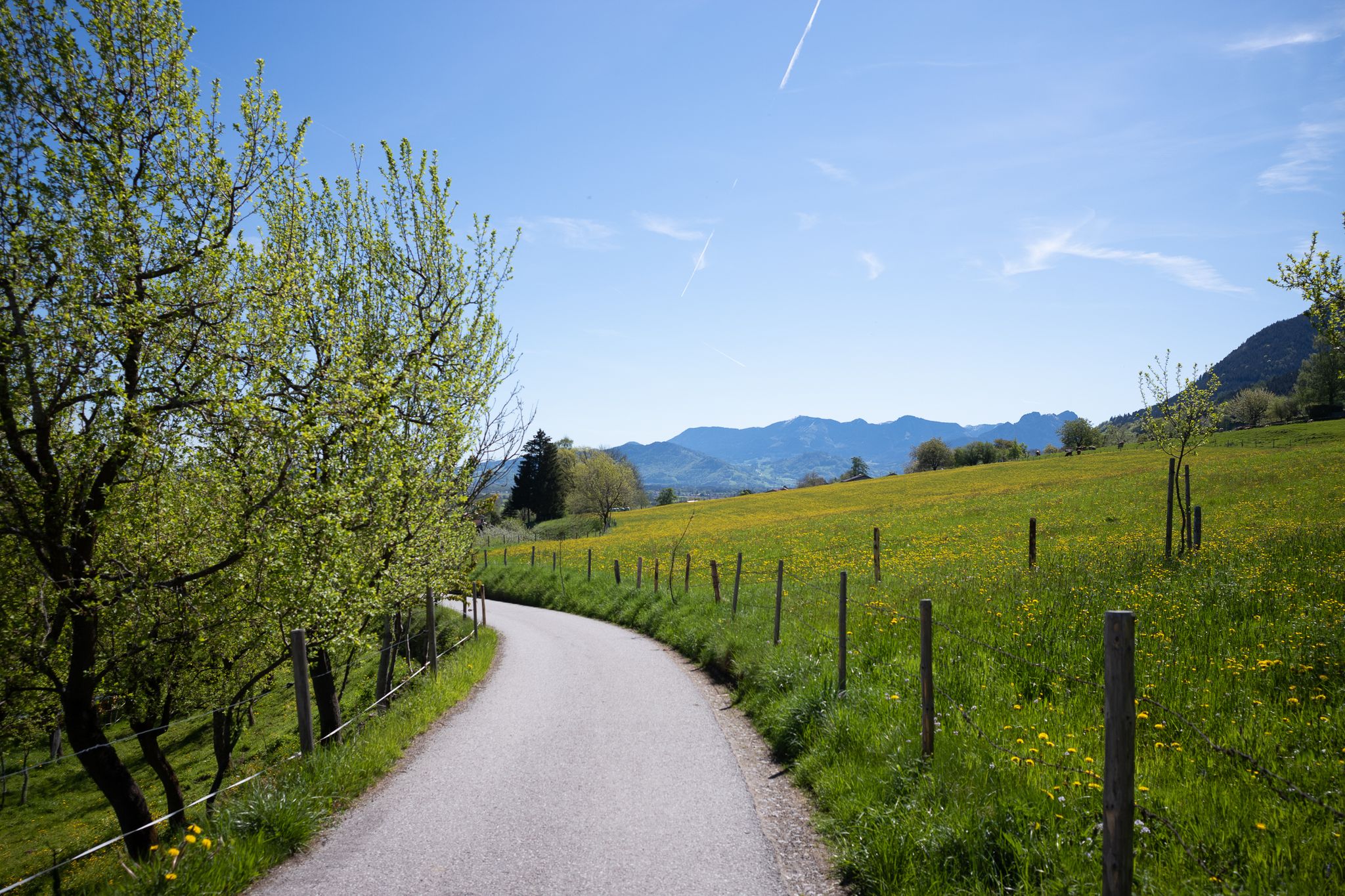 Hallo Frühling mit Temperaturen des Sommers