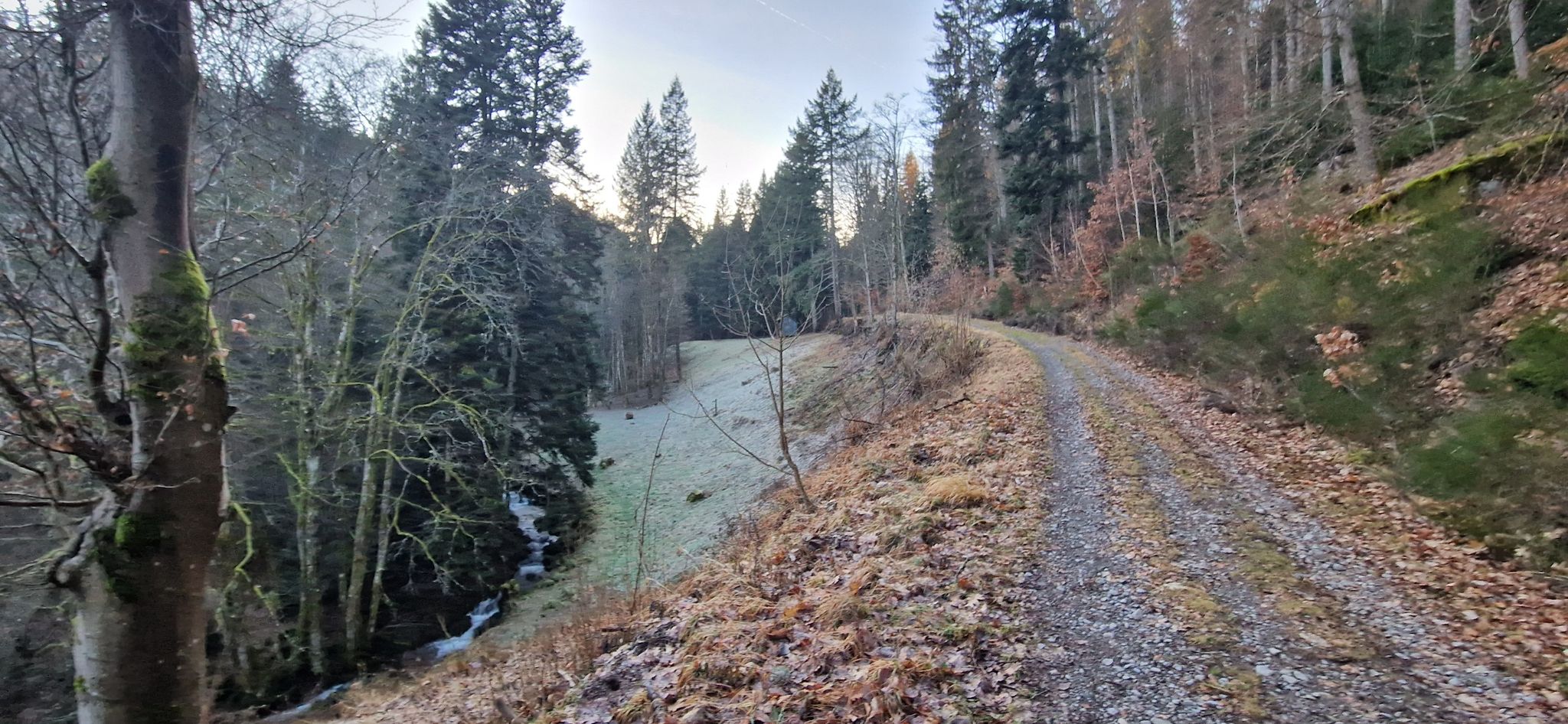 Das Kolbachtal
